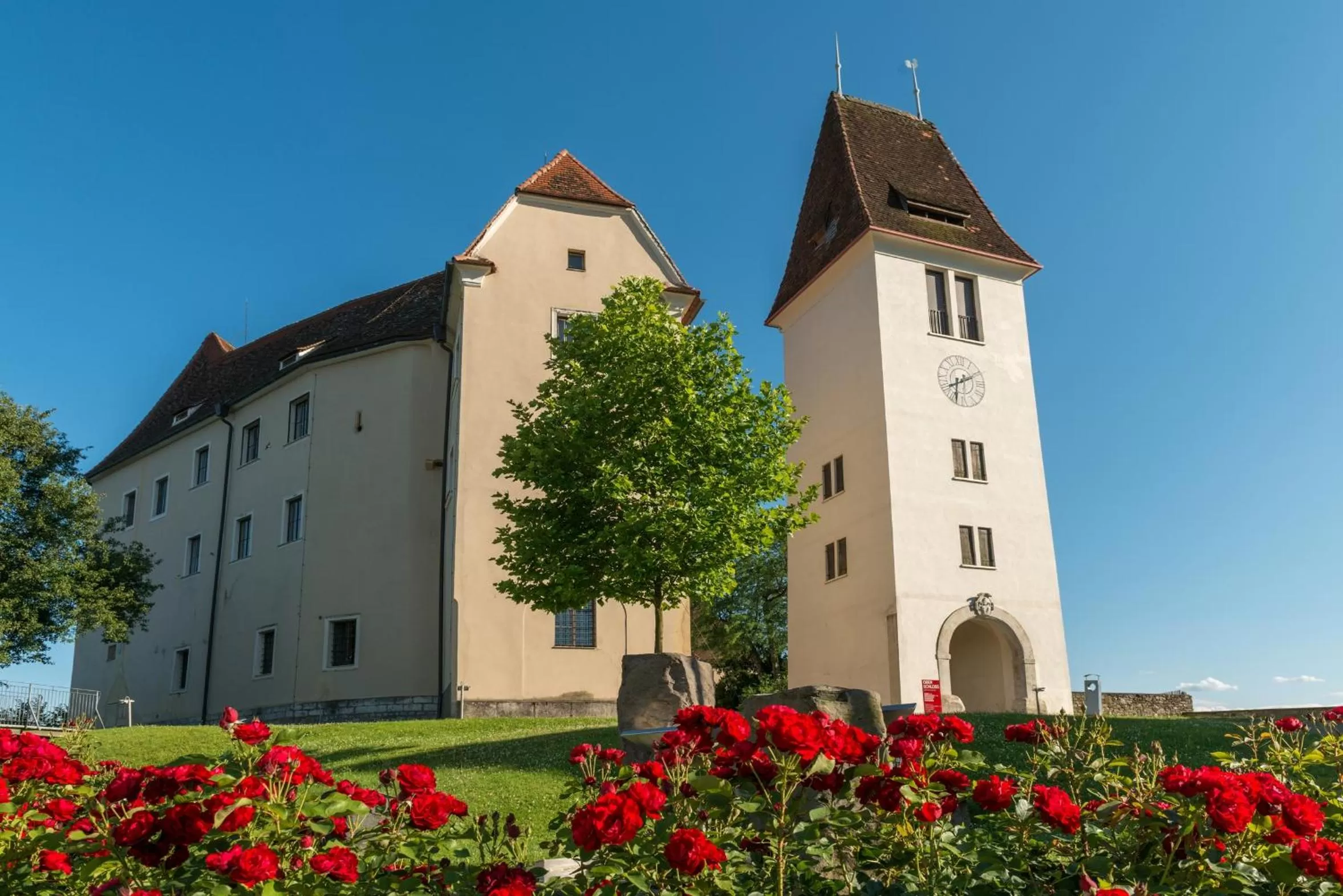 Property building in Schloss Seggau