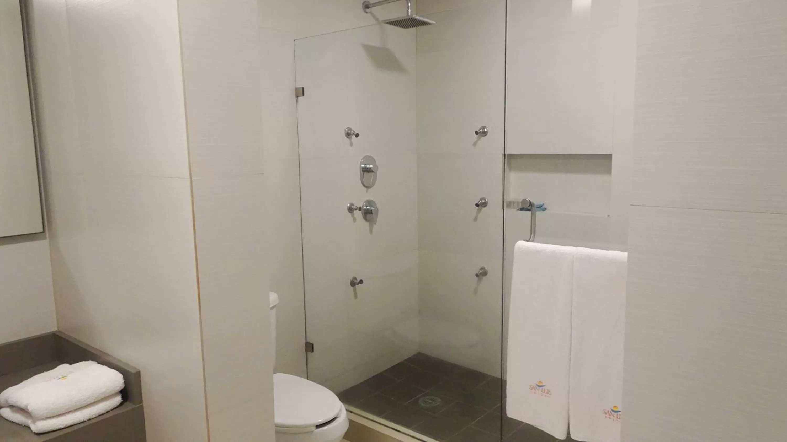 Shower, Bathroom in Suites San Luis