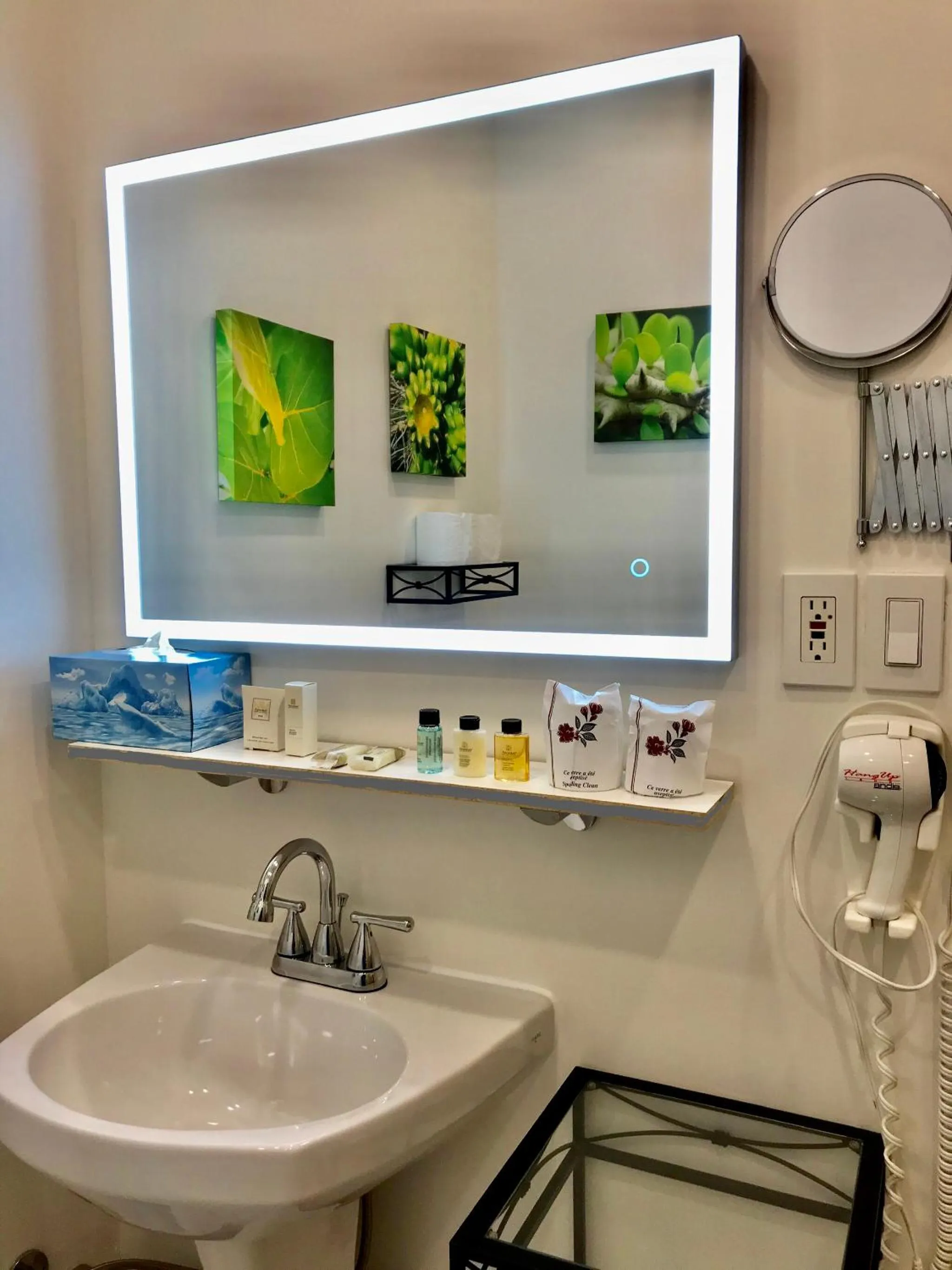 Auberge du Sault-à-la-Puce