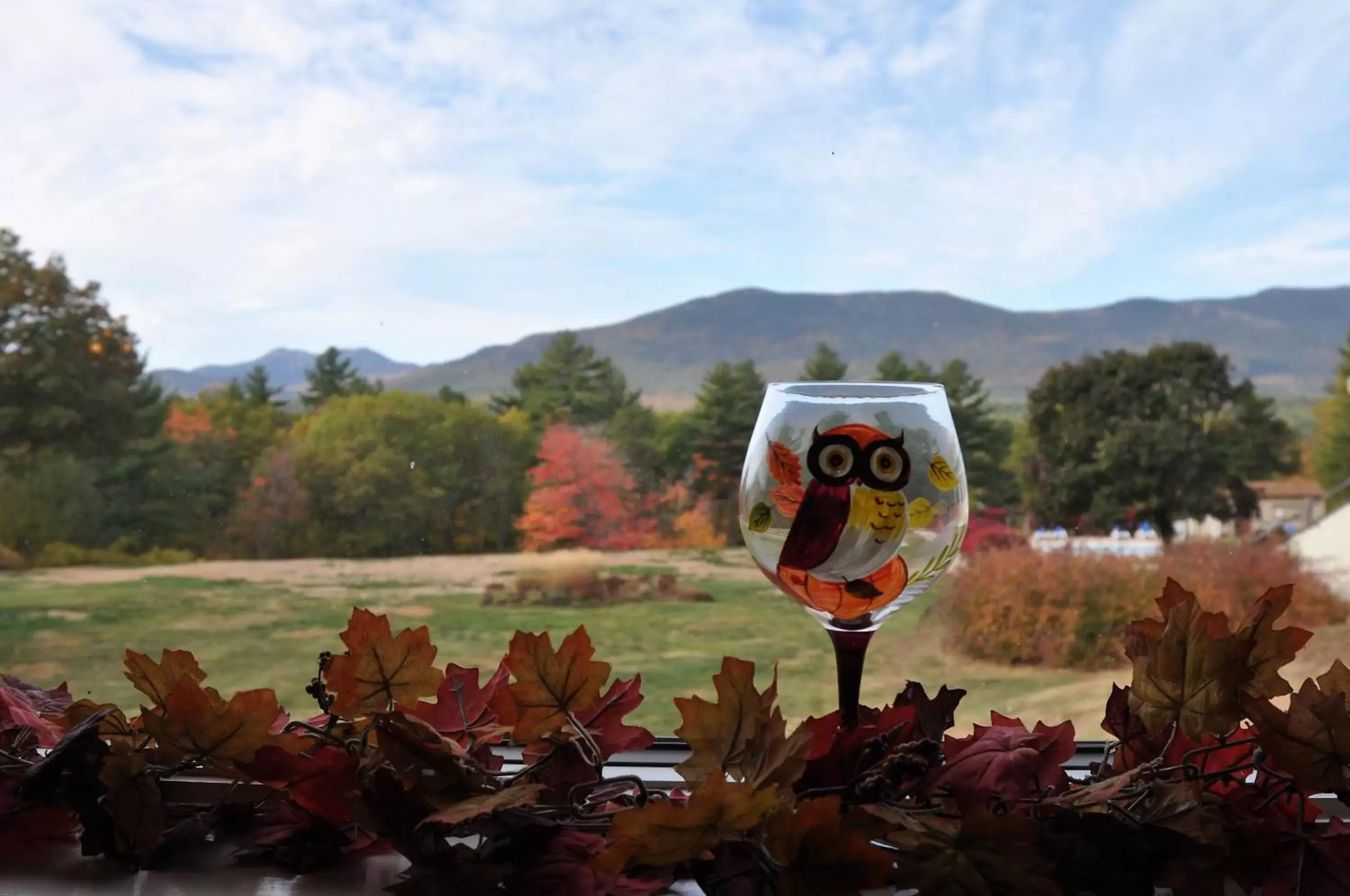 Mountain view in Fox Ridge Resort Mountain view in Fox Ridge Resort