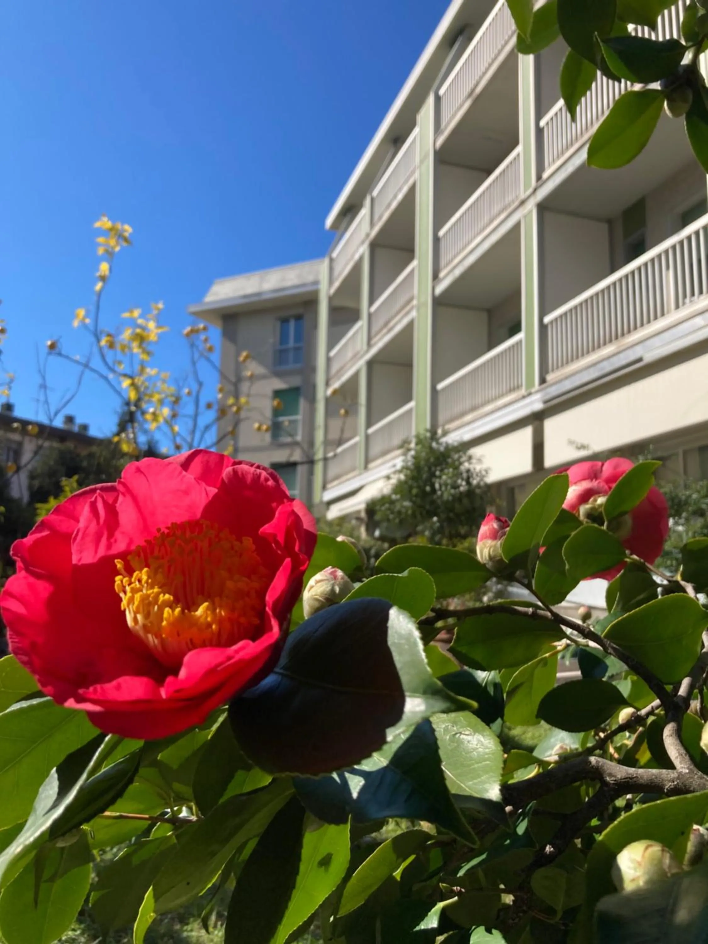 Property building in Hotel Ghironi