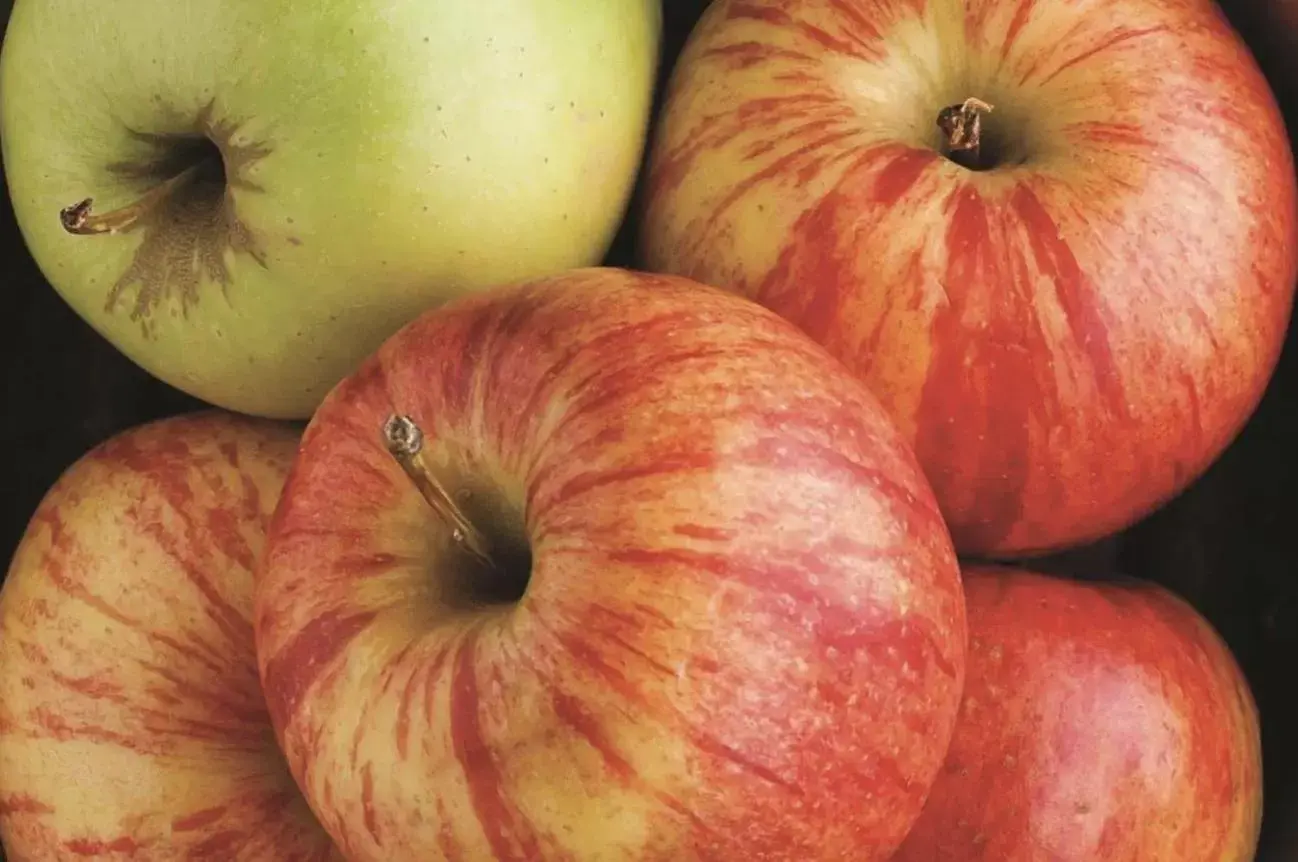 Breakfast in La Quinta Inn & Suites by Wyndham Locust Grove Breakfast in La Quinta Inn & Suites by Wyndham Locust Grove