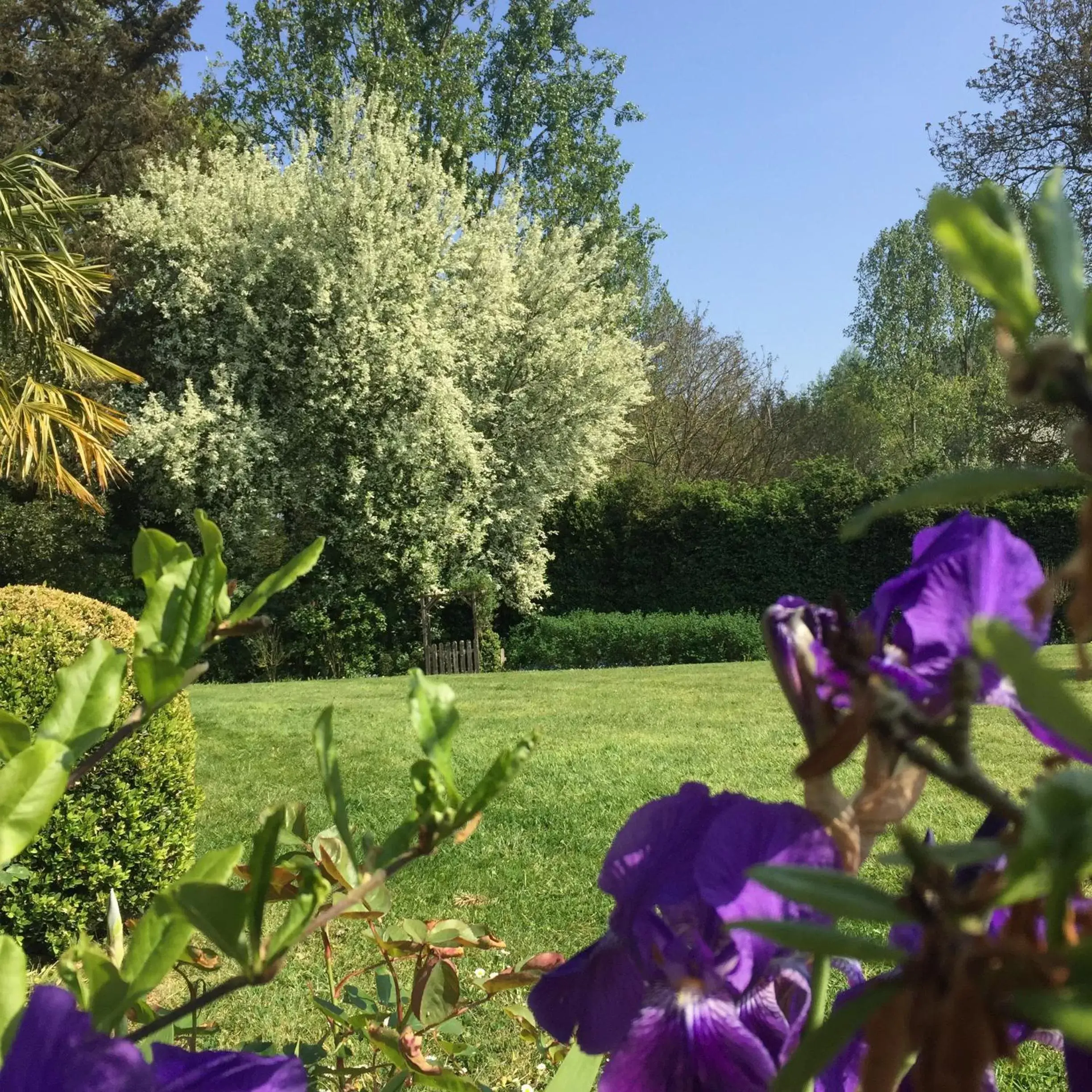 Garden in Chambres d'hôtes Le Bas Rassinoux