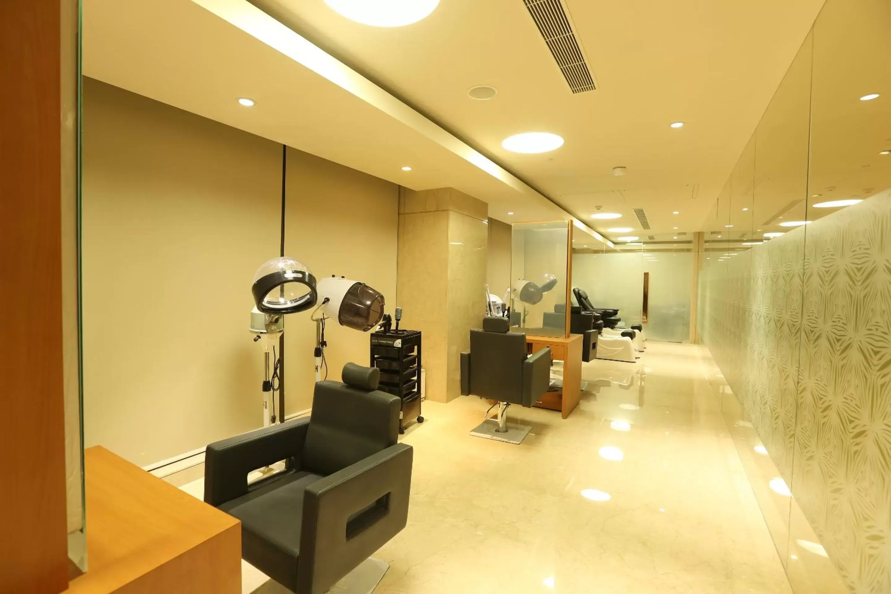 Spa and wellness centre/facilities in Feathers- A Radha Hotel, Chennai