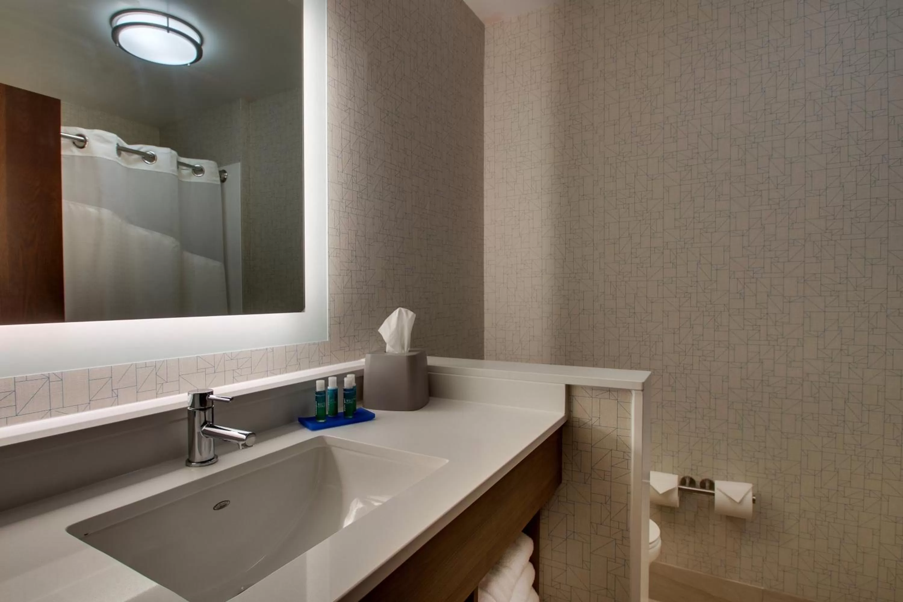 Bathroom in Holiday Inn Express & Suites Mt Sterling North by IHG
