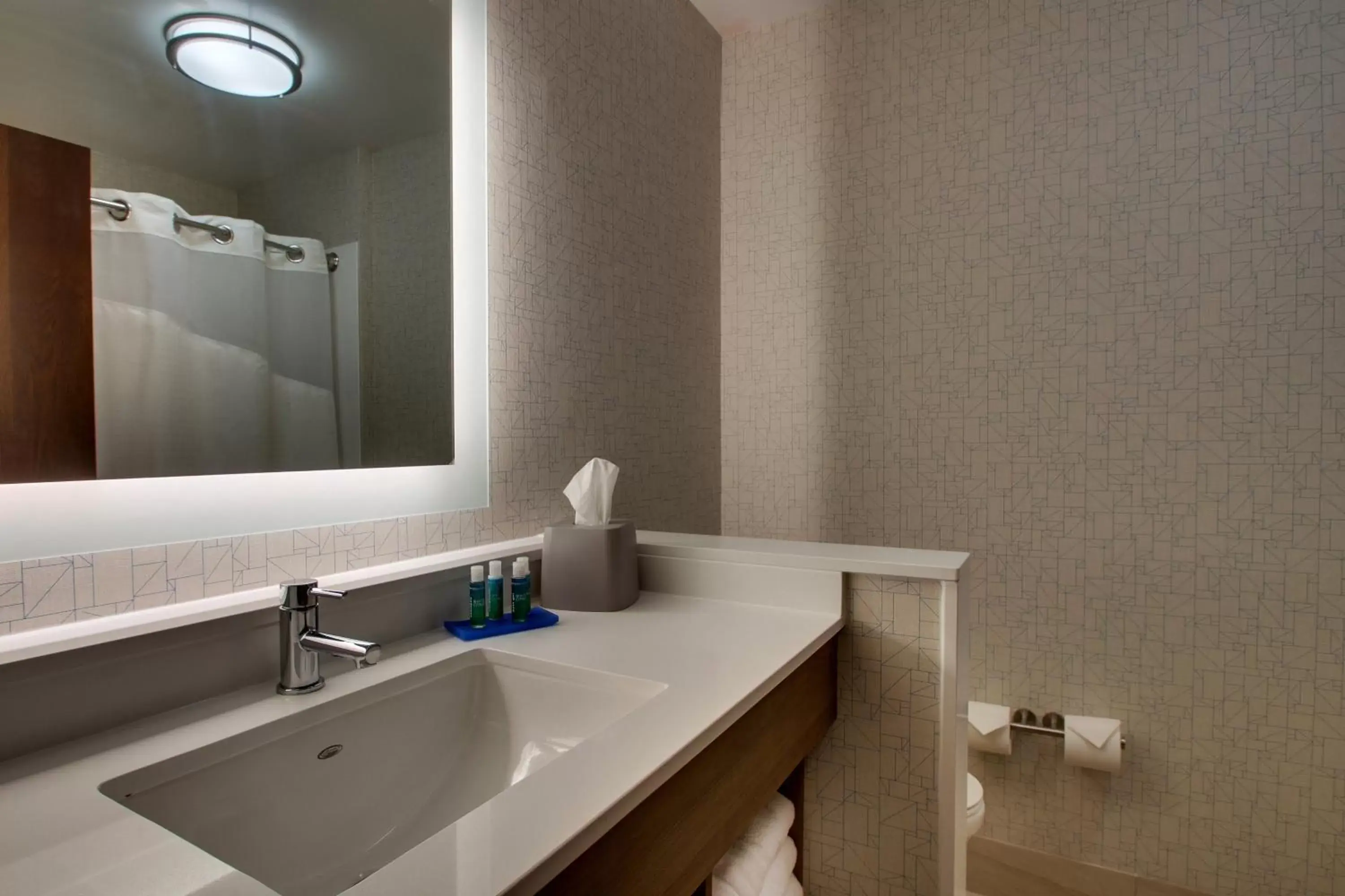 Bathroom in Holiday Inn Express & Suites Mt Sterling North, an IHG Hotel