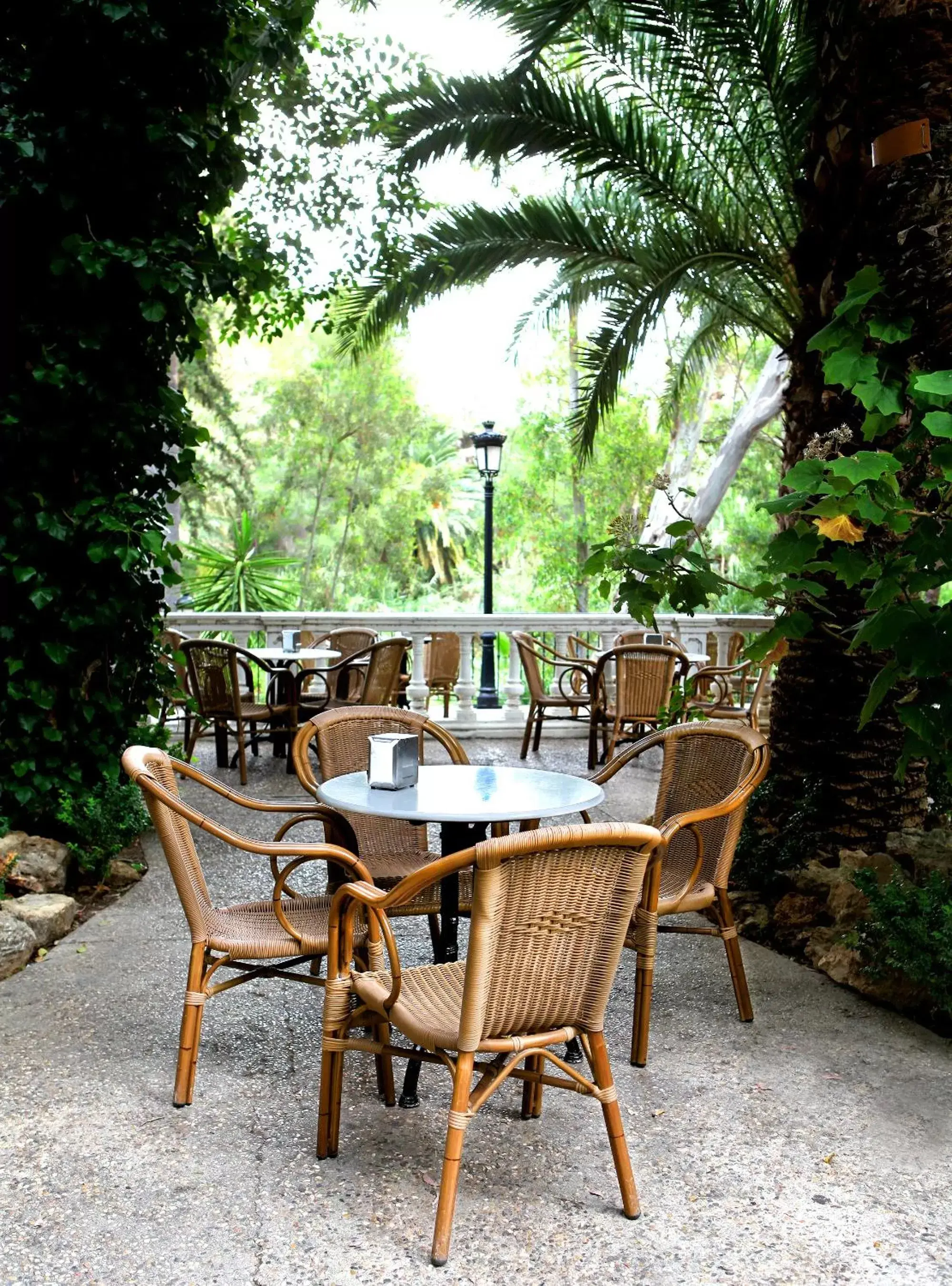 Garden in Balneario de Archena - Hotel Termas
