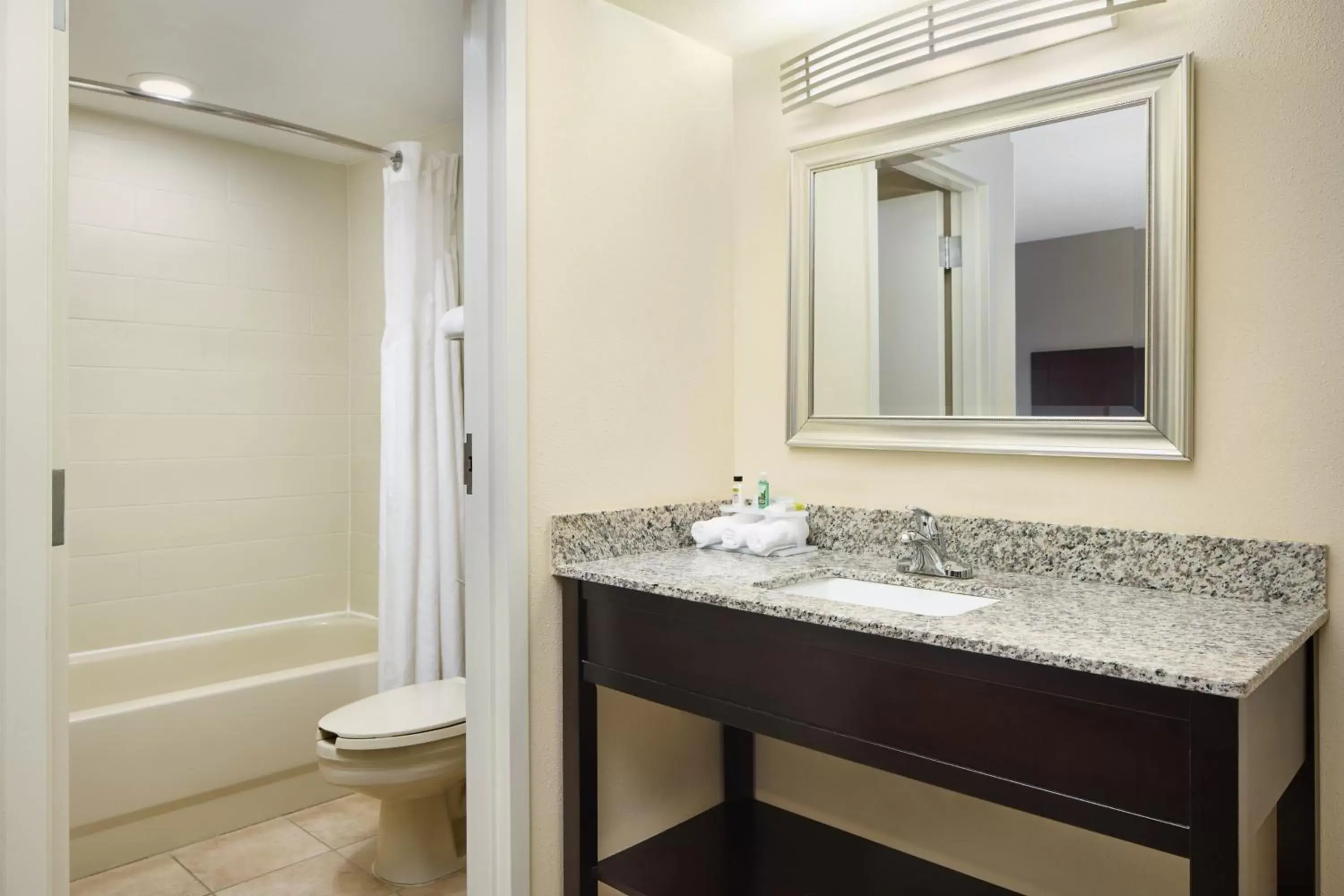 Photo of the whole room, Bathroom in Holiday Inn Express & Suites Alpharetta, an IHG Hotel