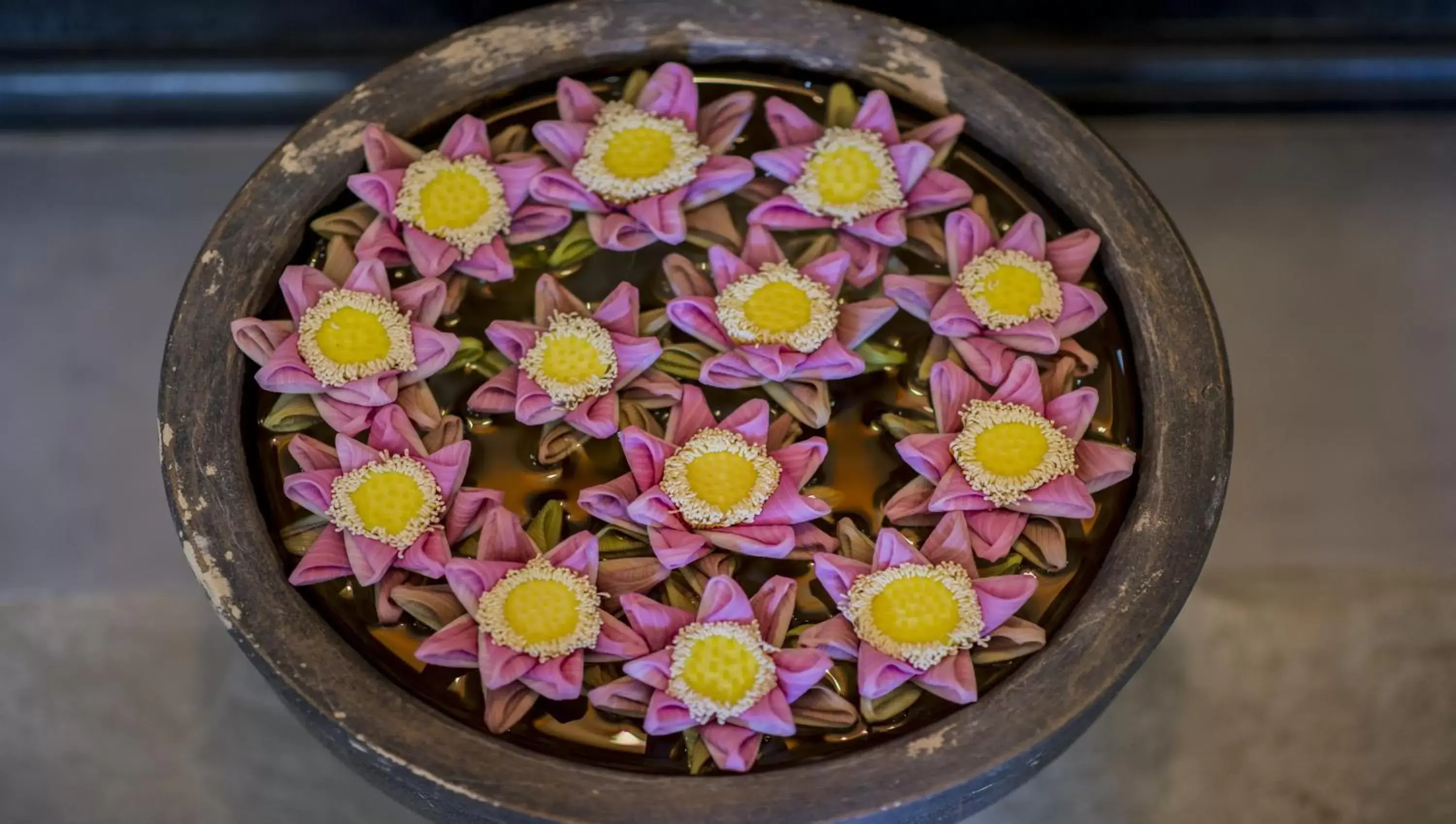 Other, Food in The Cyclo d'Angkor Boutique Hotel