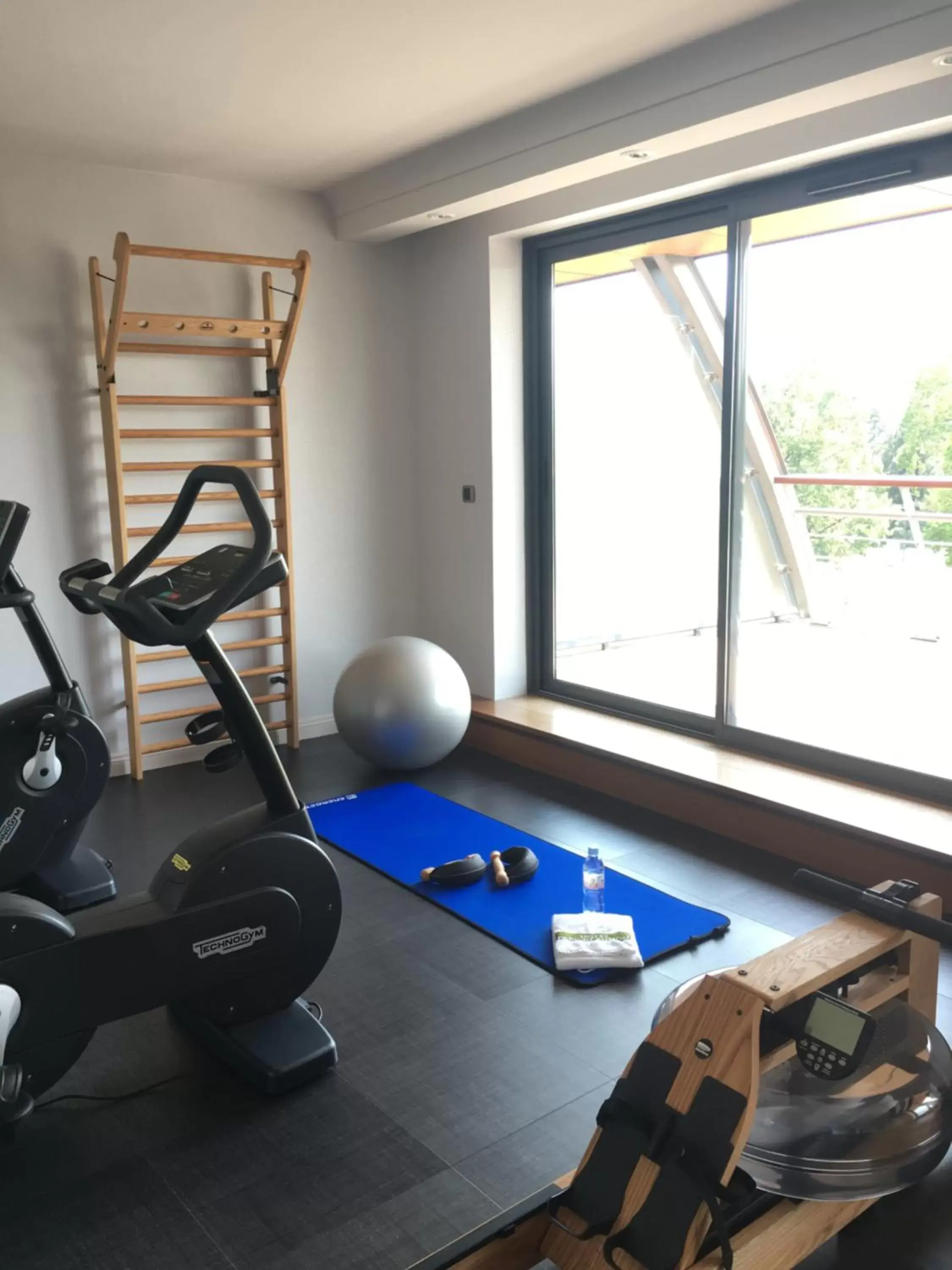 Patio, Fitness Center/Facilities in Hotel Parc Beaumont & Spa Pau - MGallery