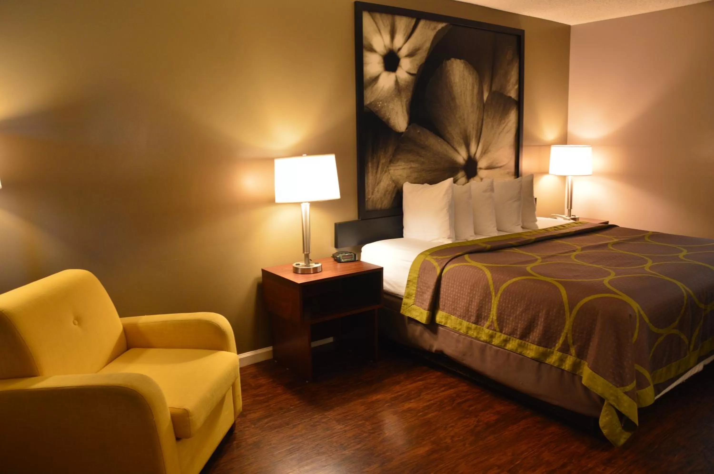 Bed in Super 8 by Wyndham Madison