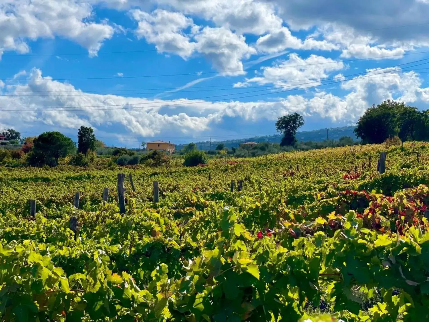 Natural Landscape in Agriturismo Le Masciare