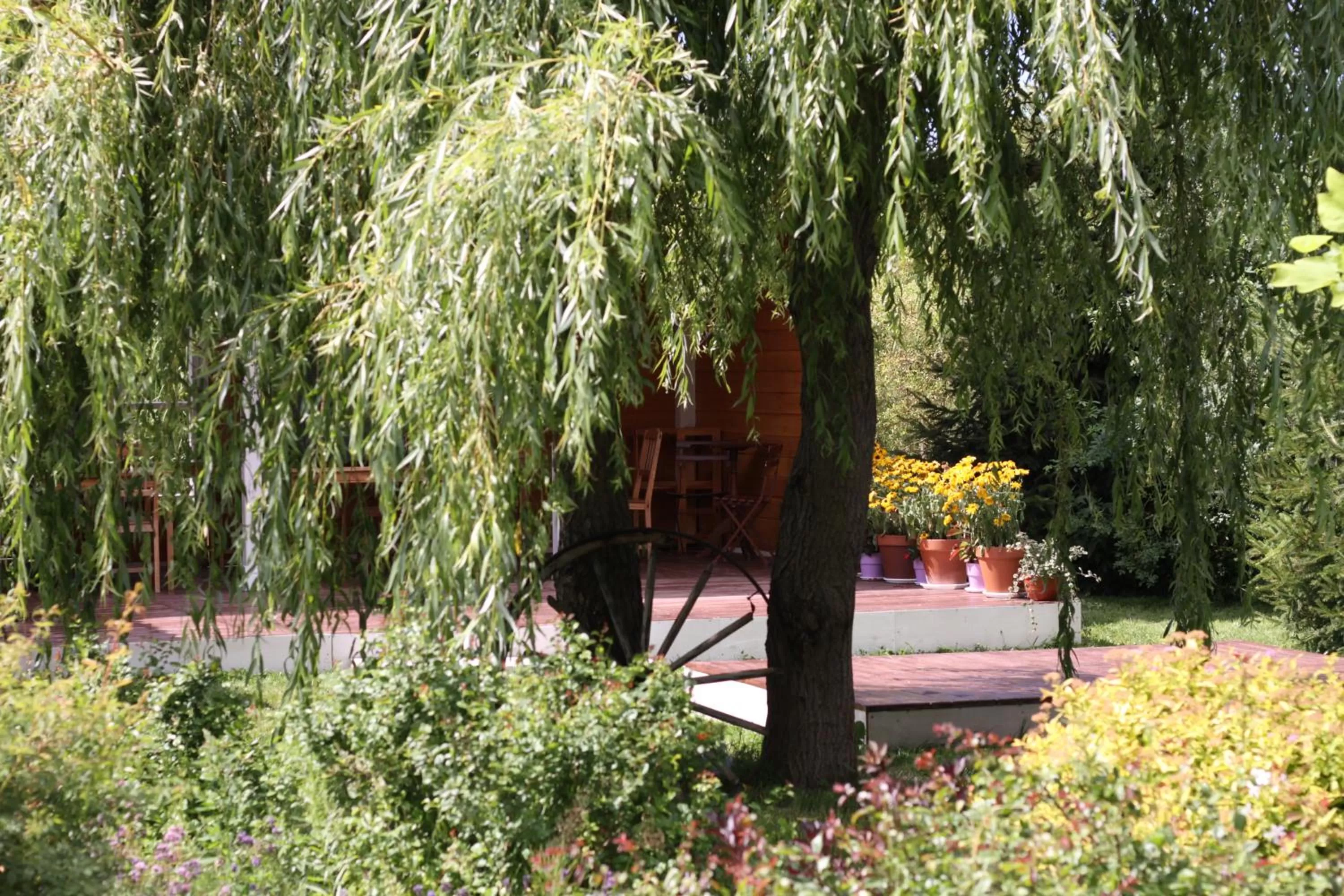 Garden in Gościniec pod Kłosem
