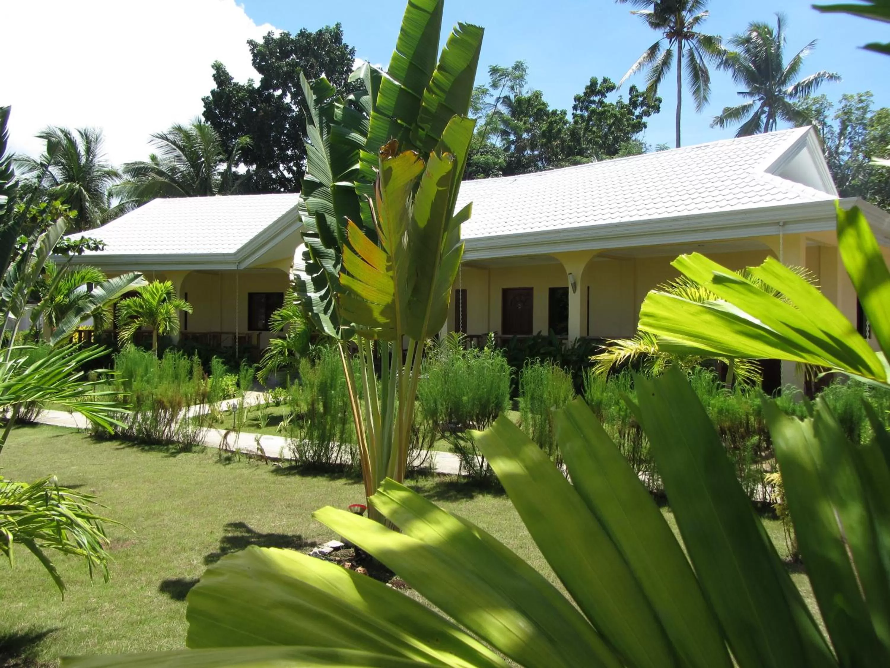 Garden in Bohol Sunside Resort