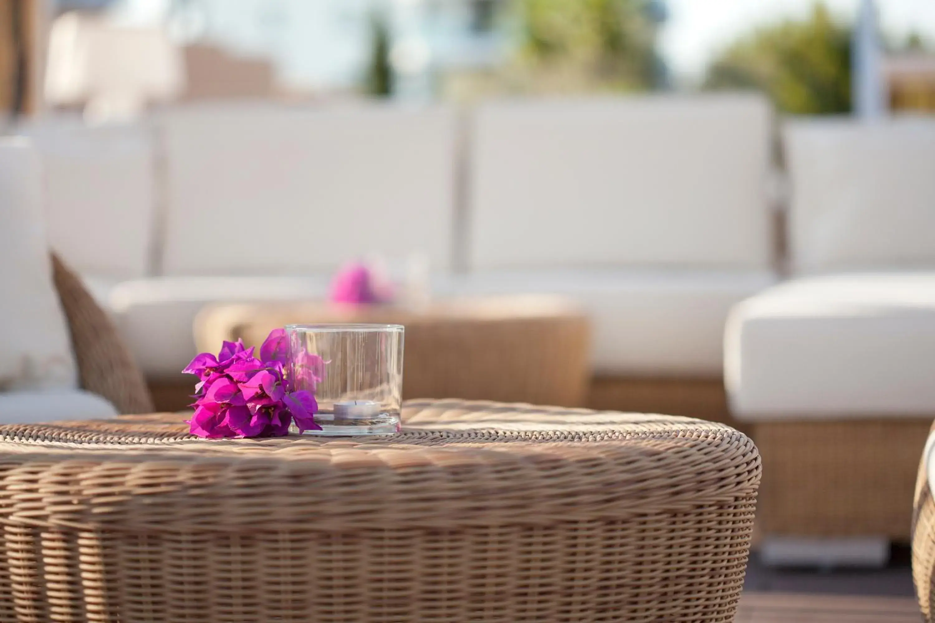 Other in Grupotel Santa Eulària & Spa - Adults Only