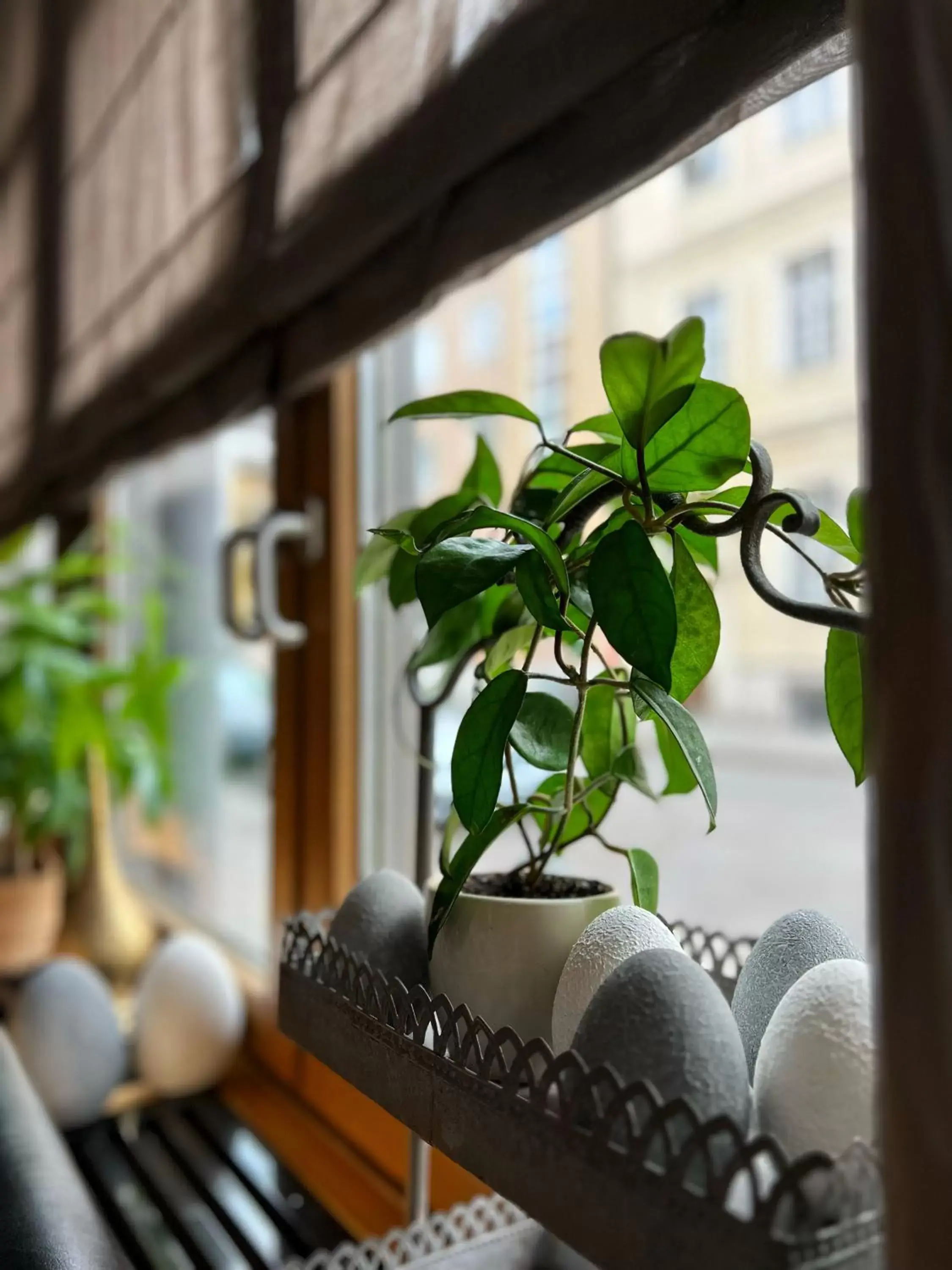 Spring, Seating Area in Hotel Prinz