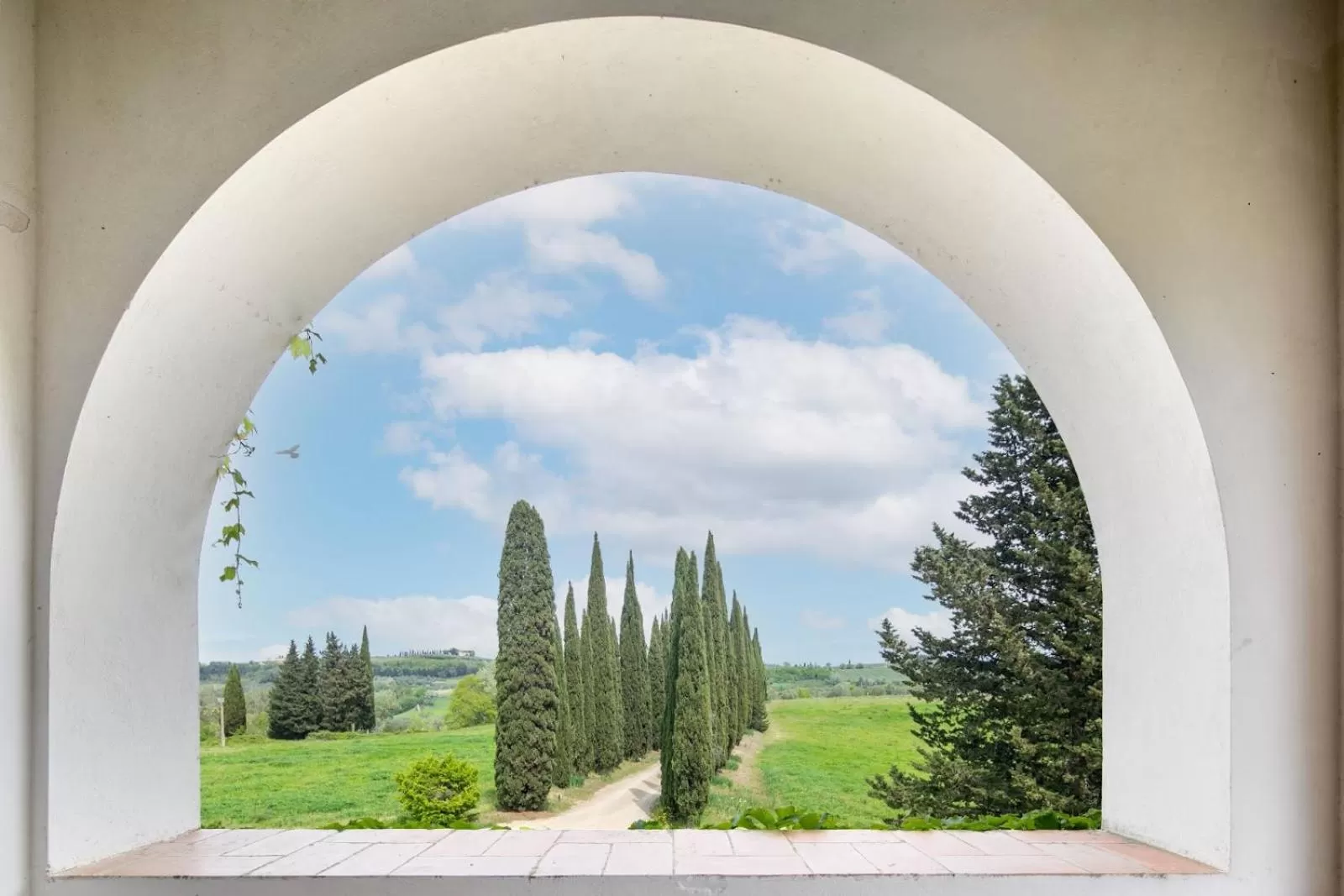 Balcony/Terrace in Villa Albertina