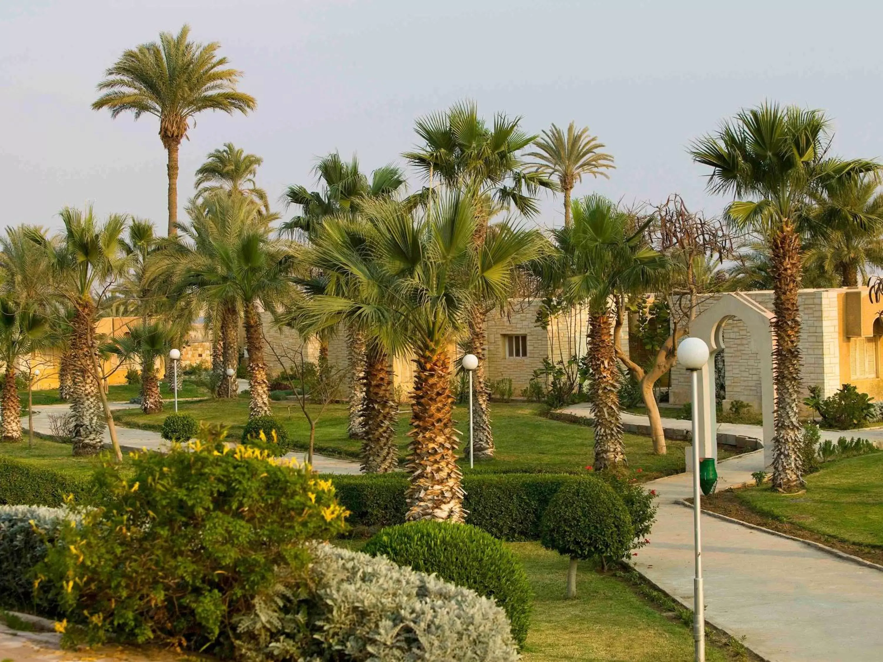 Photo of the whole room, Garden in Mercure Ismailia Forsan Island