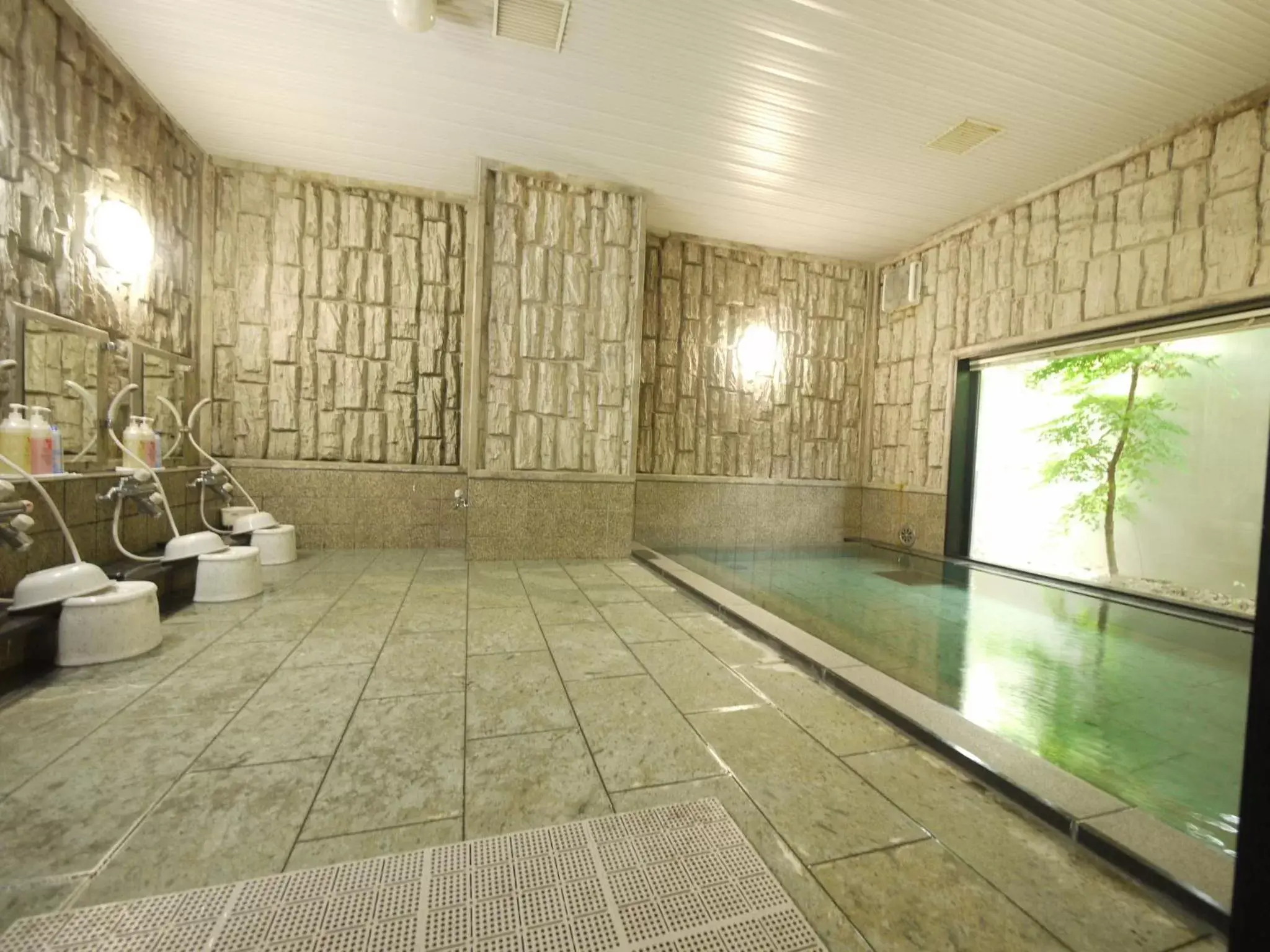 Public Bath, Swimming Pool in Hotel Route-Inn Tendo