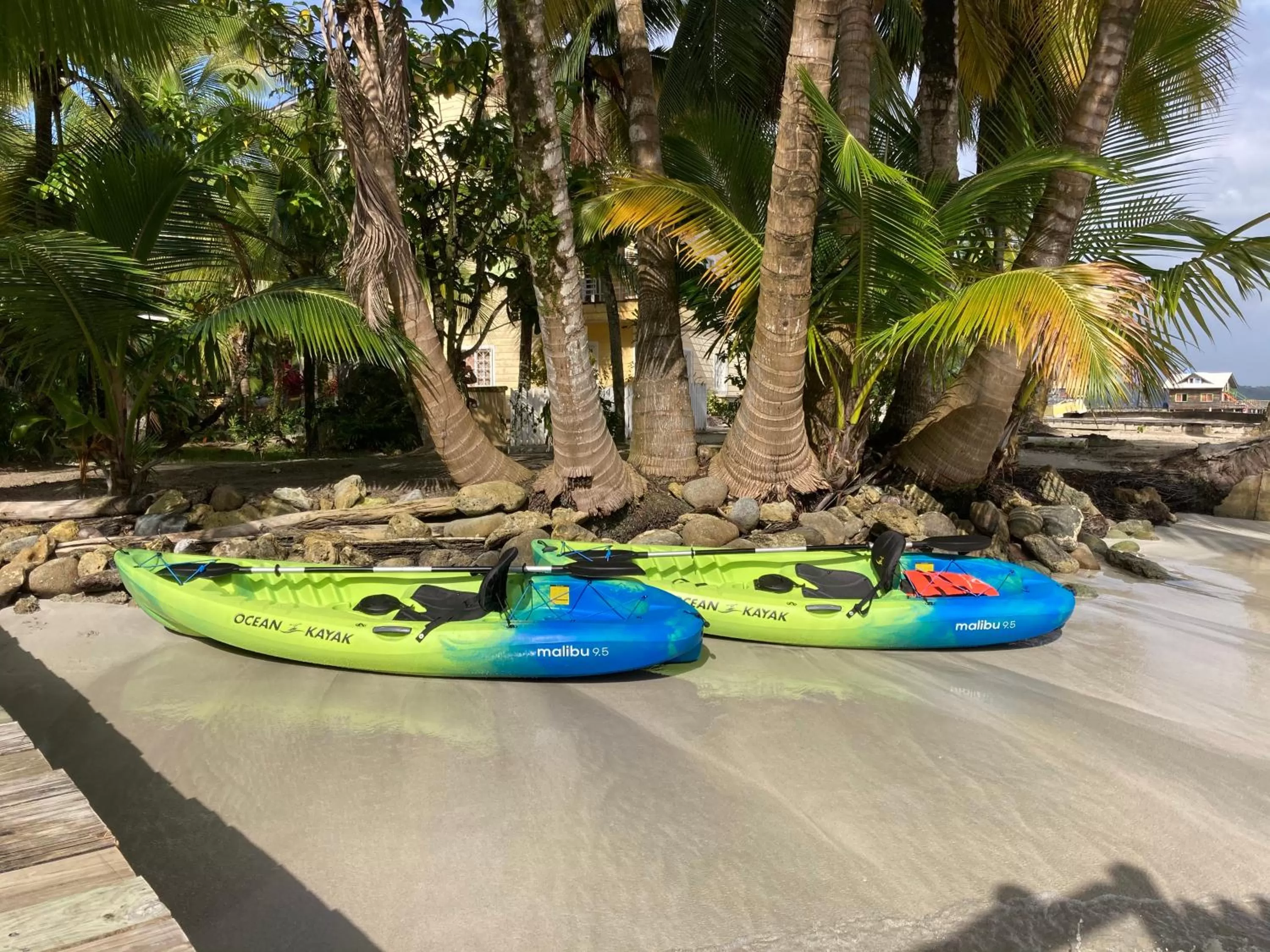 Activities in Casa Acuario Boutique Hotel