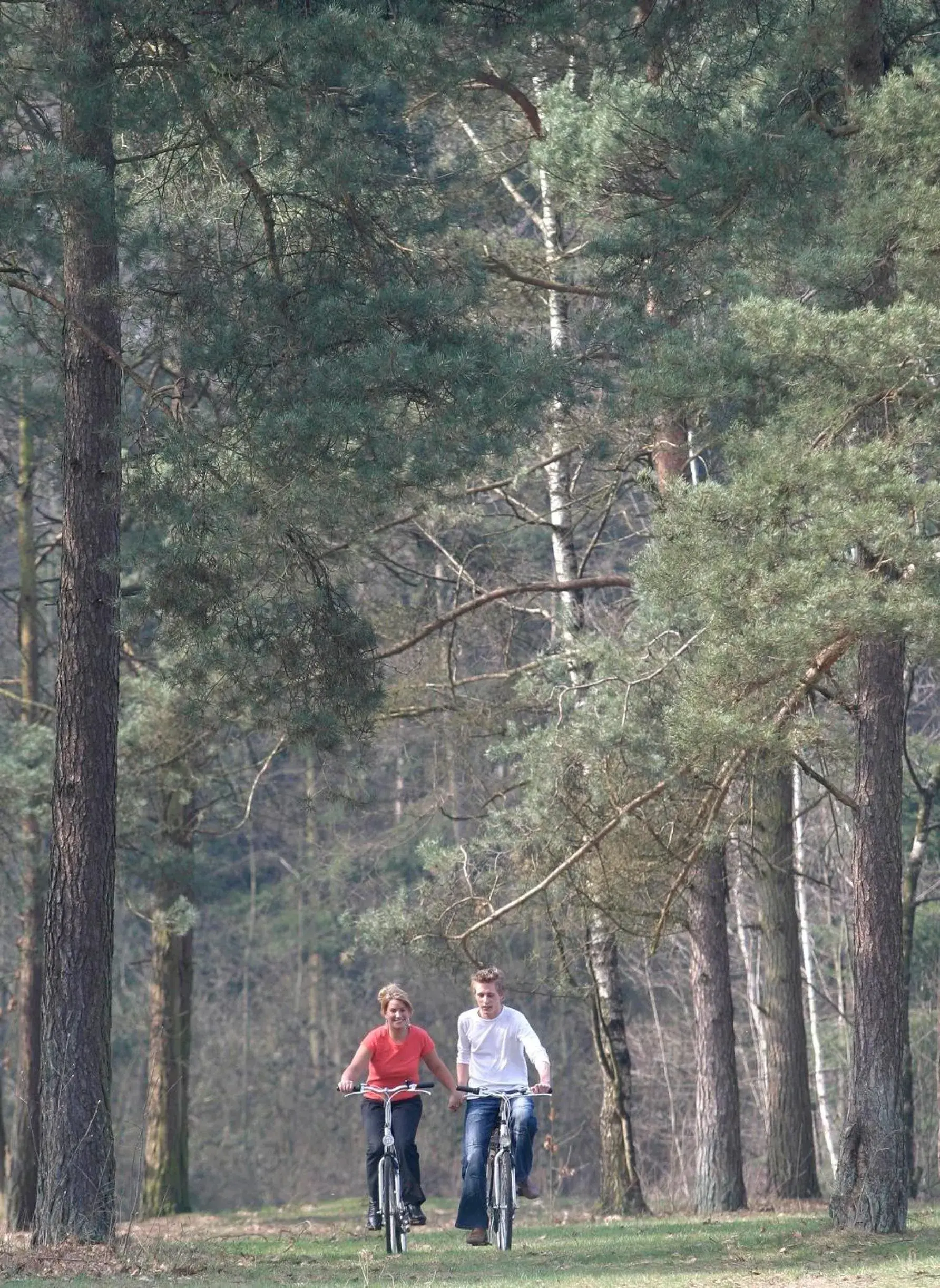 Cycling in Resort Bad Boekelo