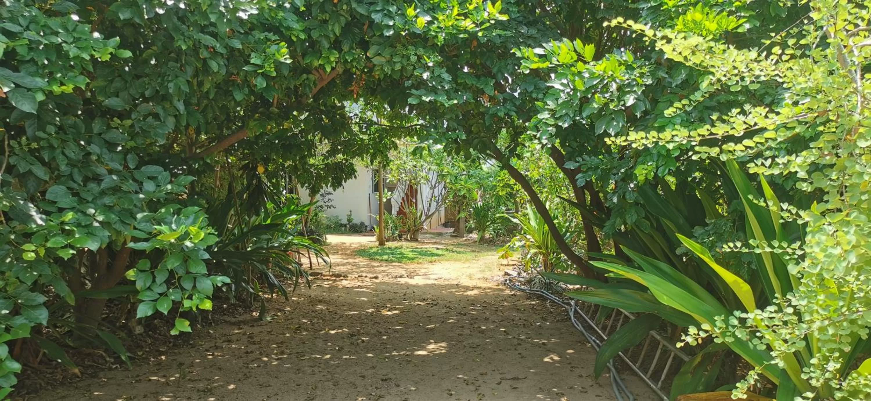 Garden in Blackstar Inn