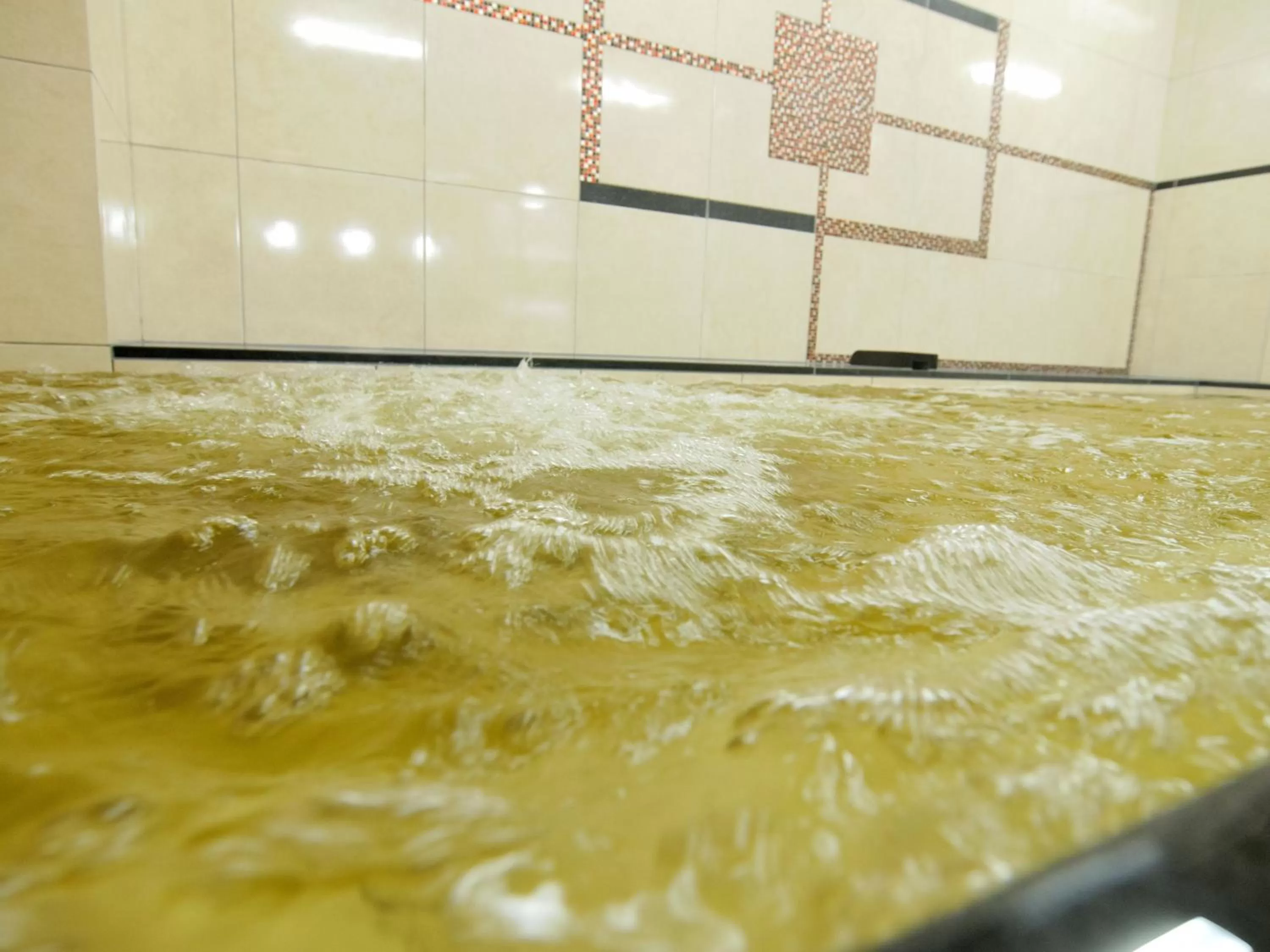 Hot Spring Bath in Green Rich Hotel Kurume Natural Hot Spring Arimamutsumonnoyu