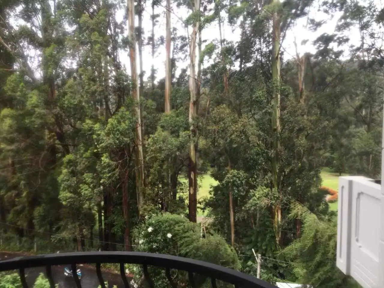 Natural landscape in Panorama Green View Hotel Nuwara Eliya