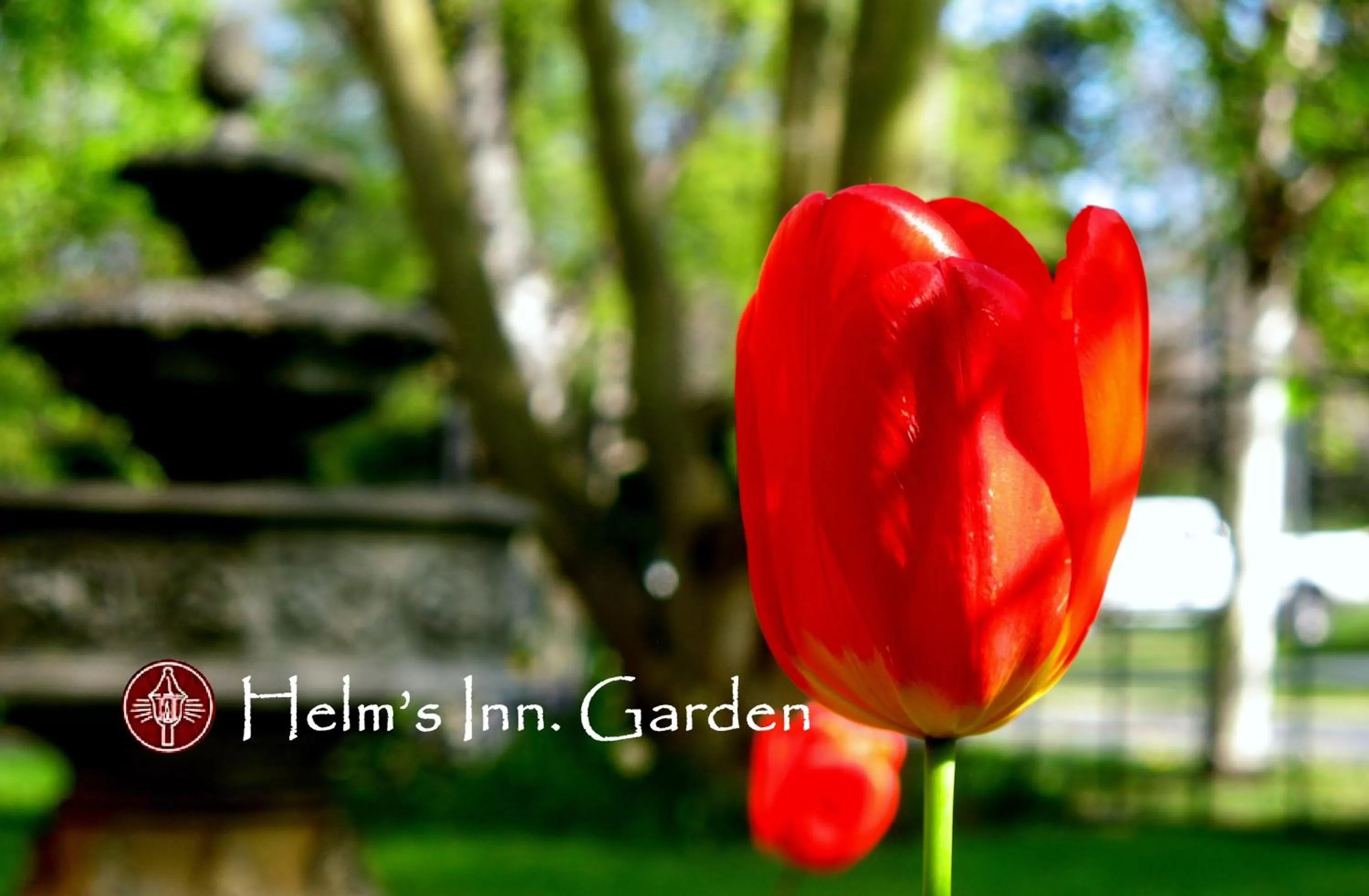 Decorative detail in Helm's Inn