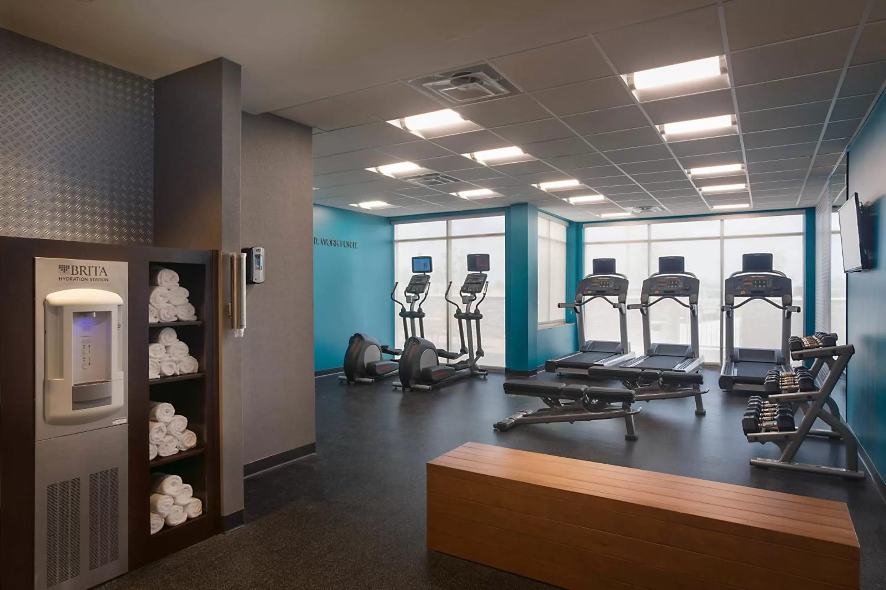 Fitness centre/facilities, Fitness Center/Facilities in Fairfield Inn & Suites by Marriott Dallas West/I-30