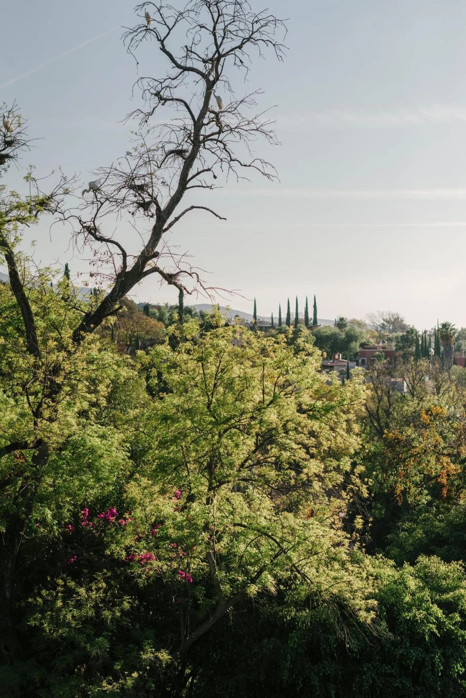 Hotel Apapacho Boutique