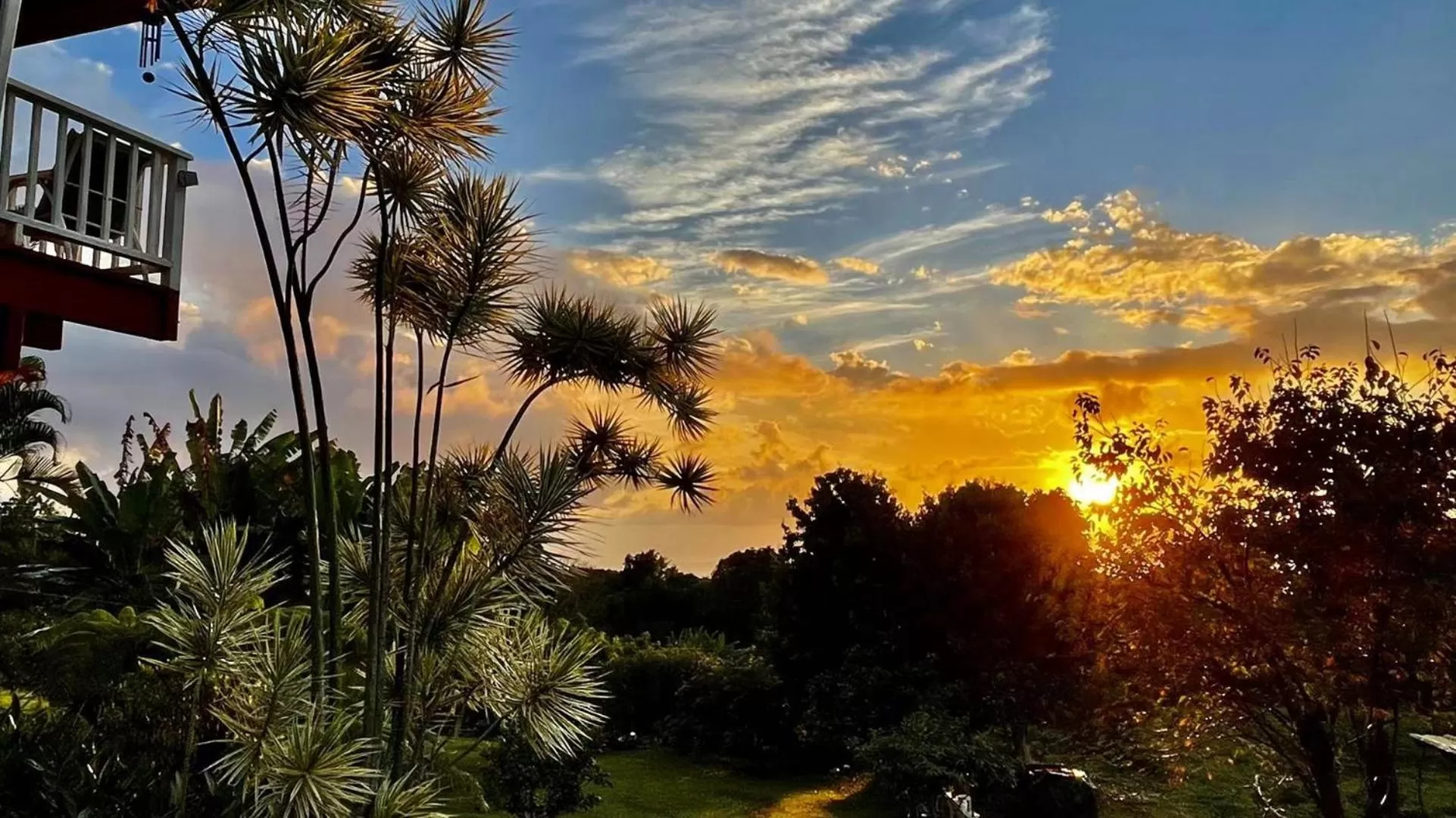 Natural landscape in Coffee Garden
