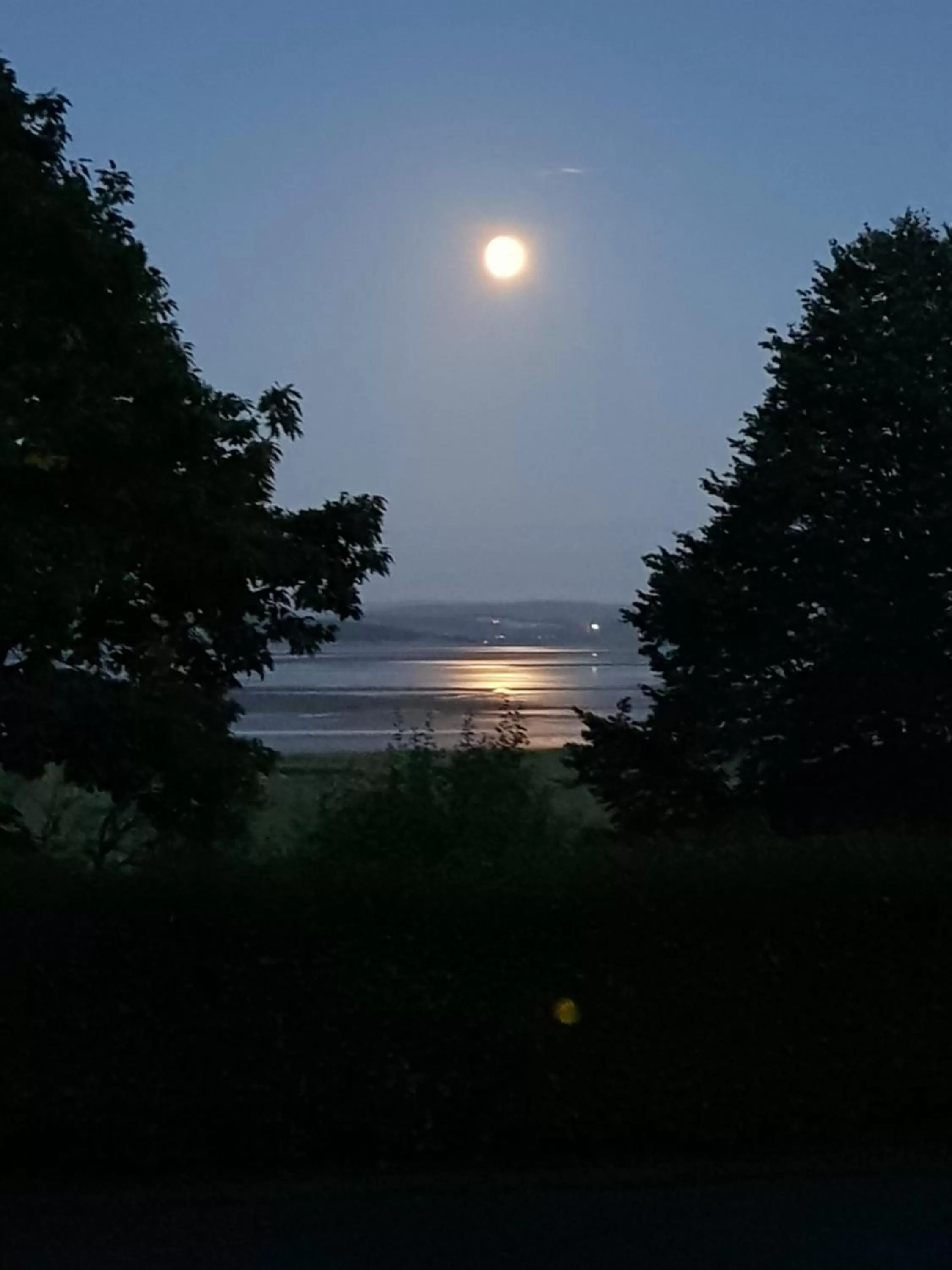 Natural landscape in Grange Boutique Hotel