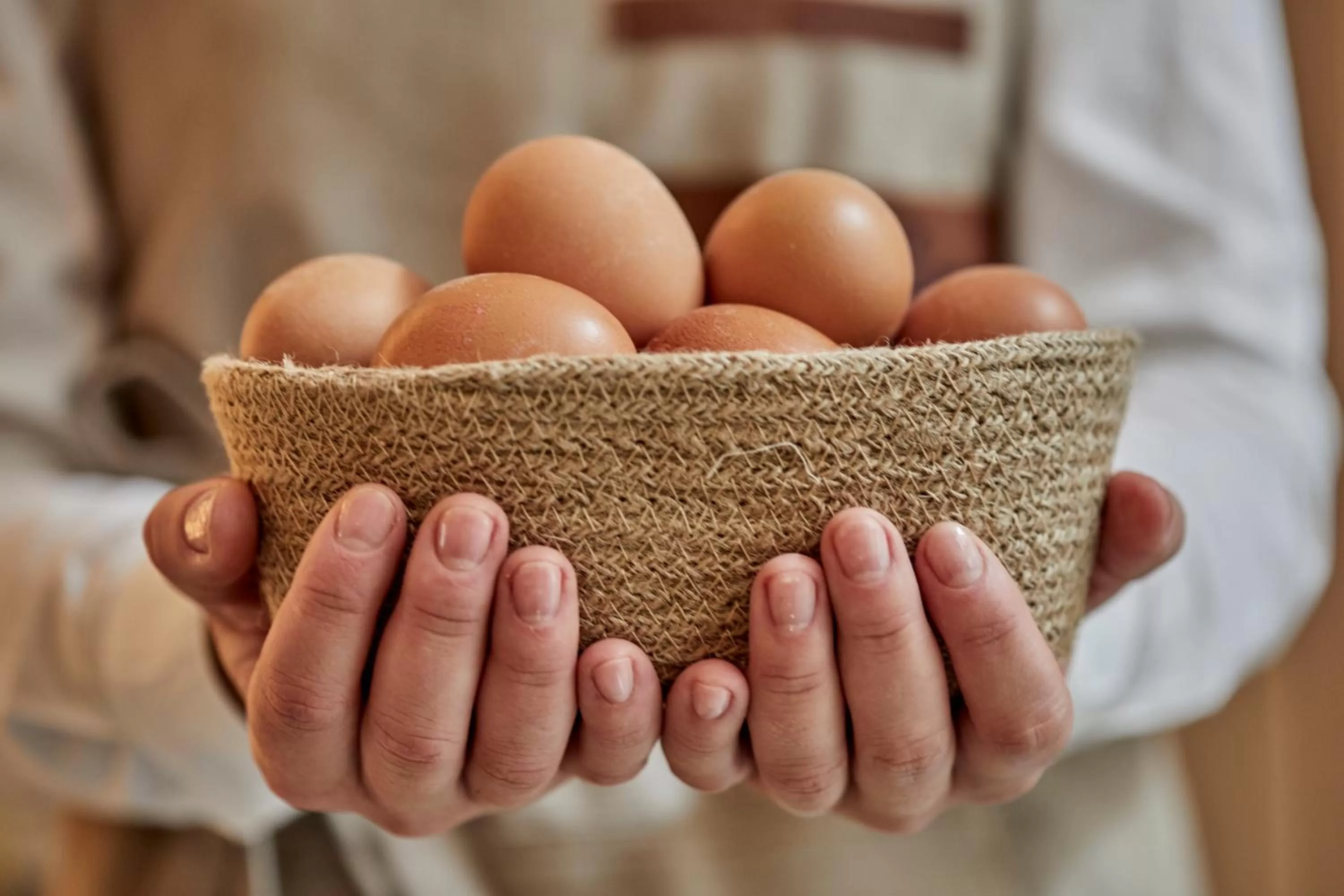 Food in Ca n'Alexandre - Adults Only