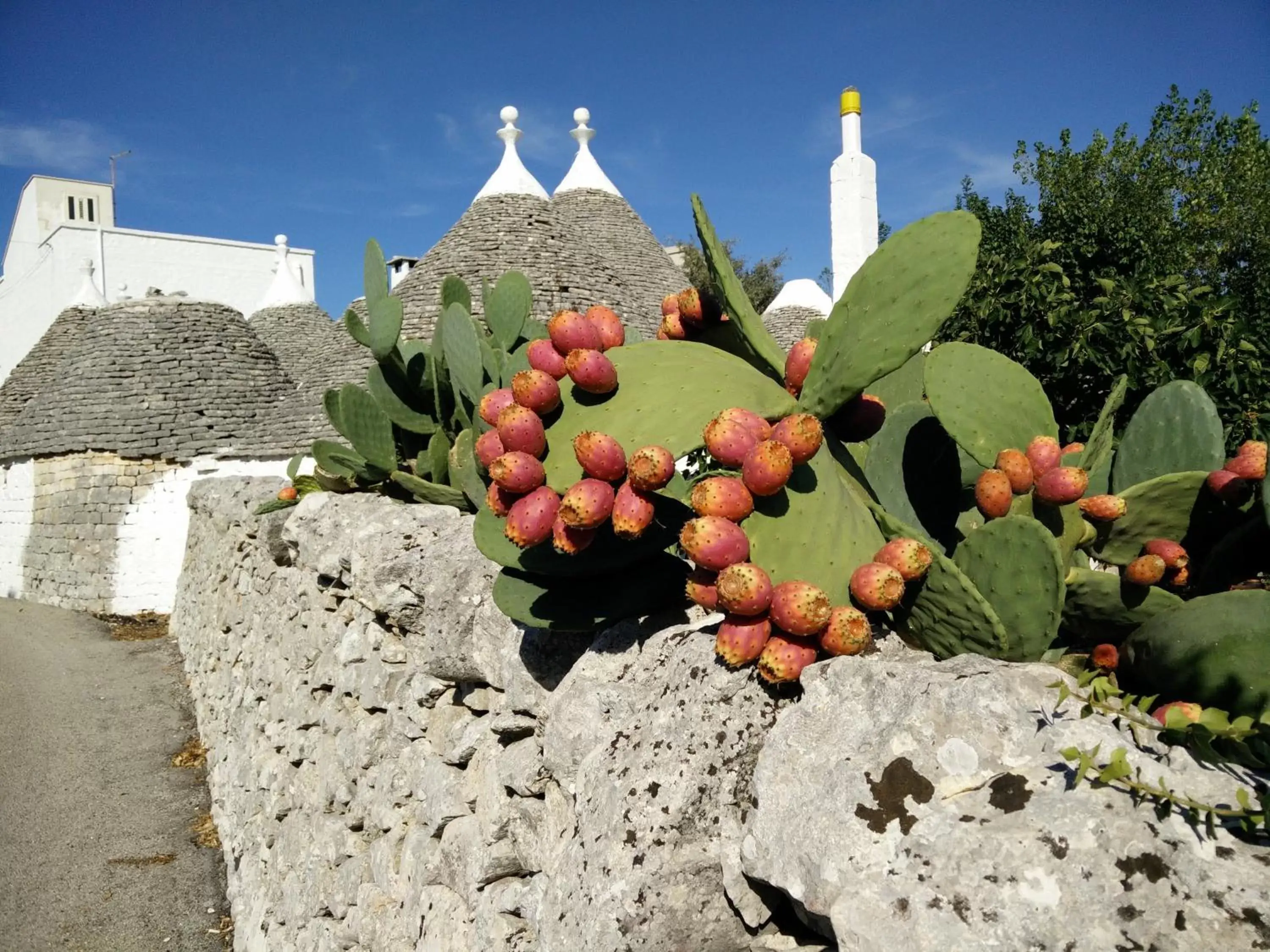 Other in Bed & Breakfast La Collinetta