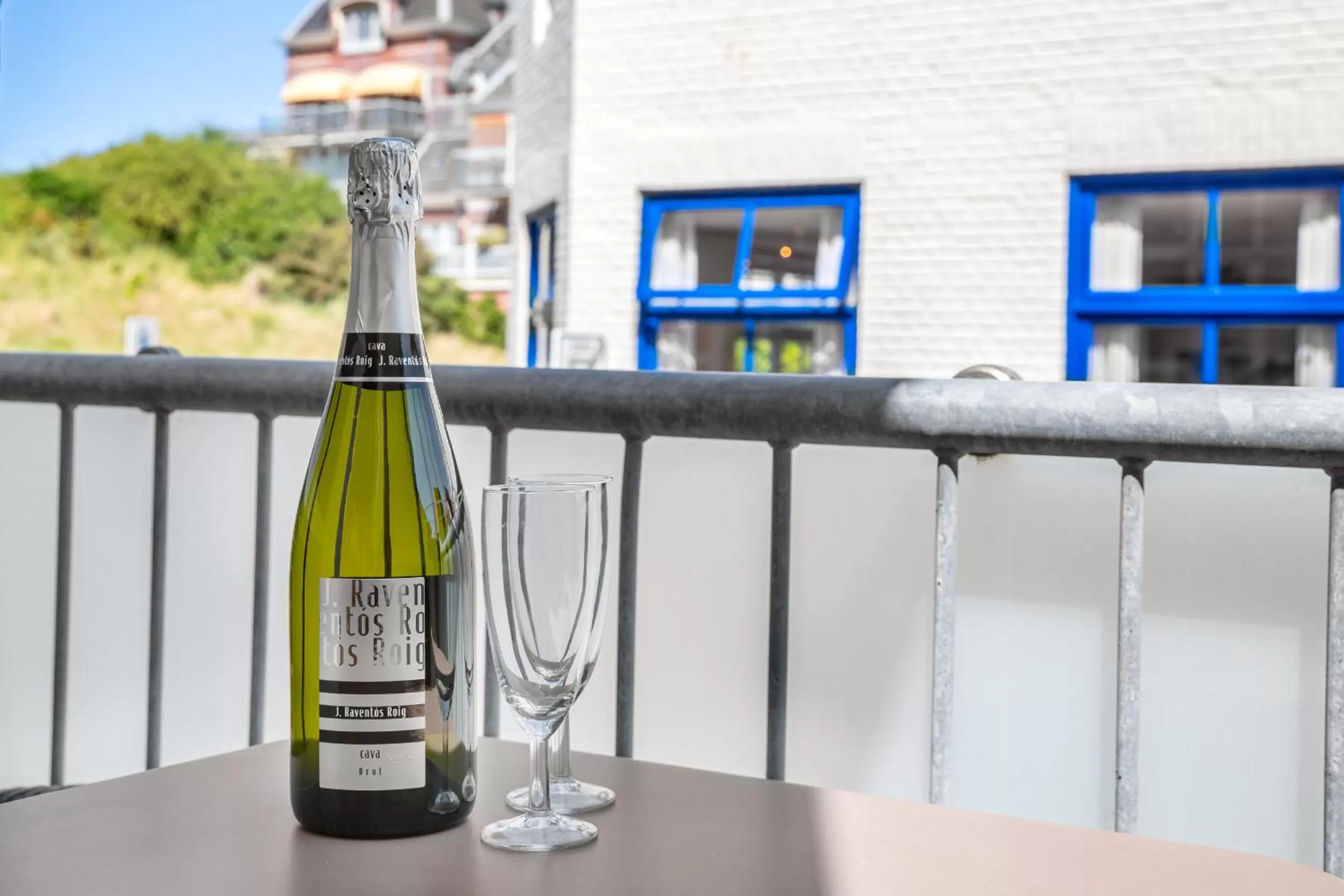 Balcony/Terrace in Hotel ter Duyn