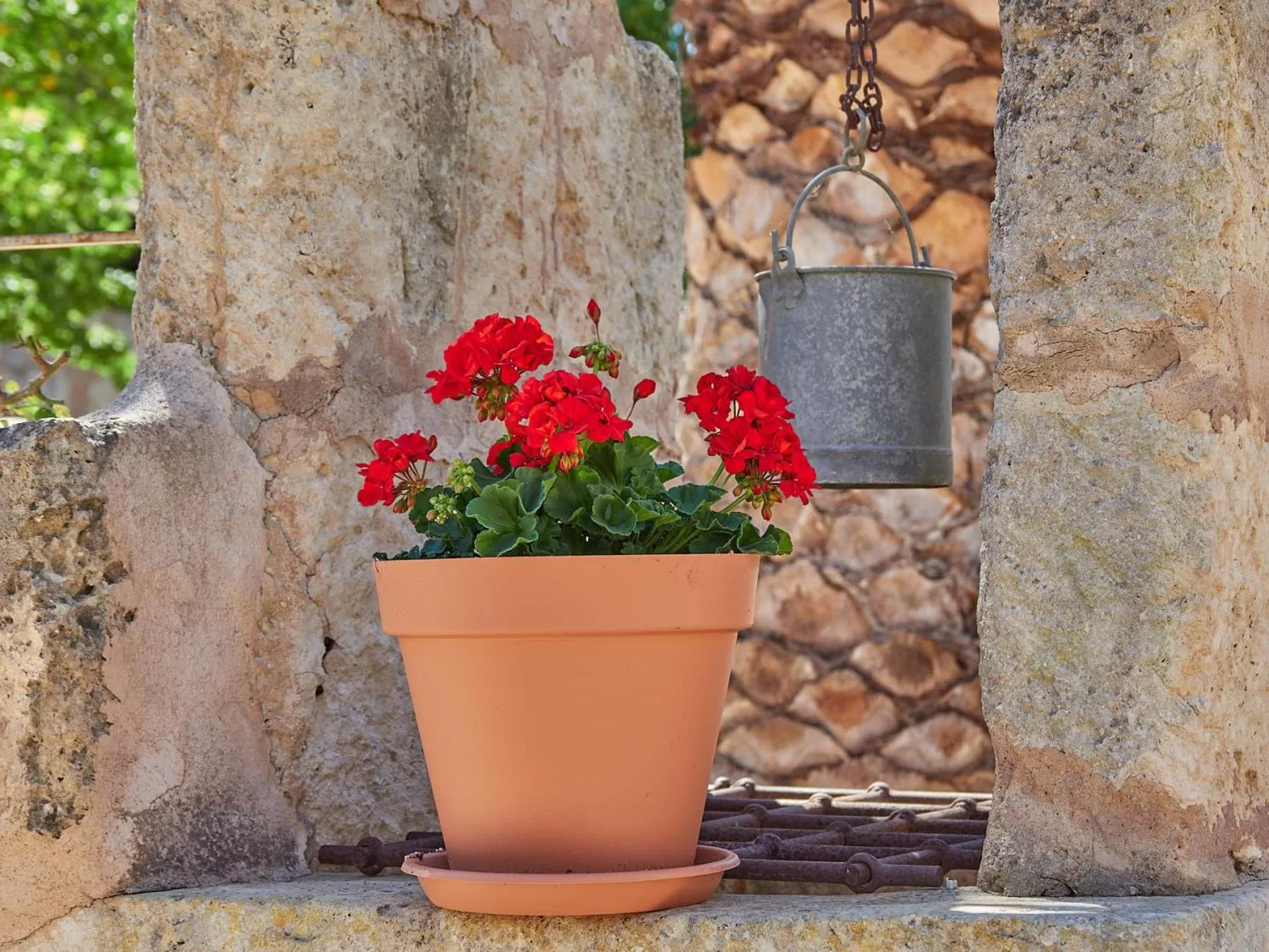 Property building in Sa Barcella TI 64