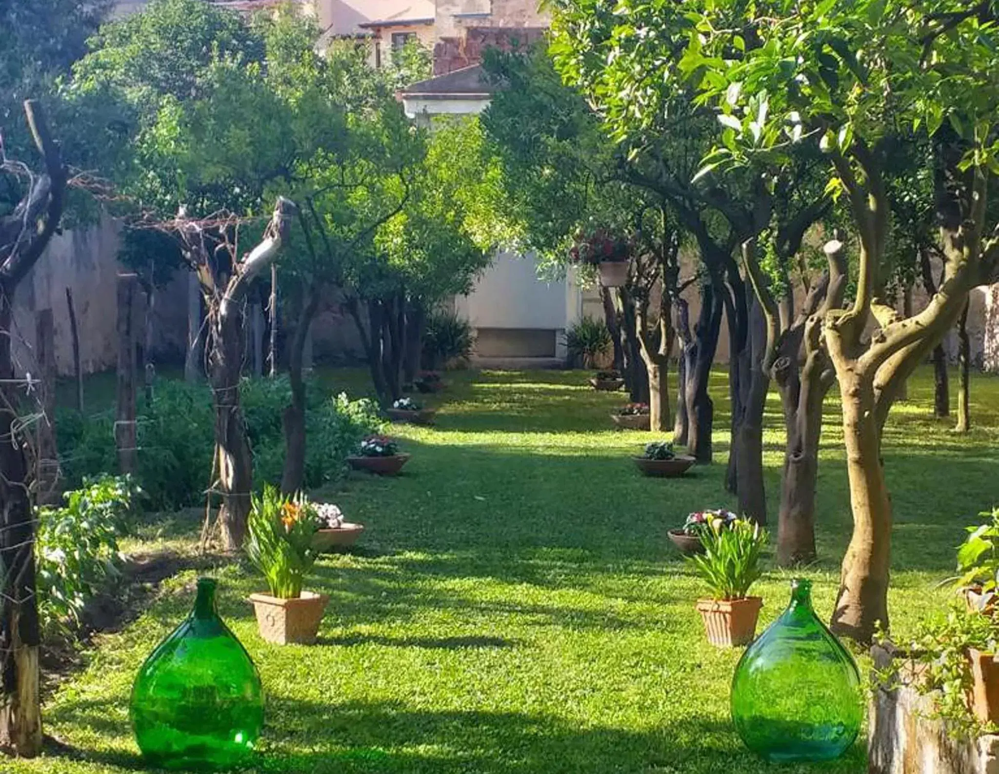 Garden in Palazzo Benucci - Residenza di Charme