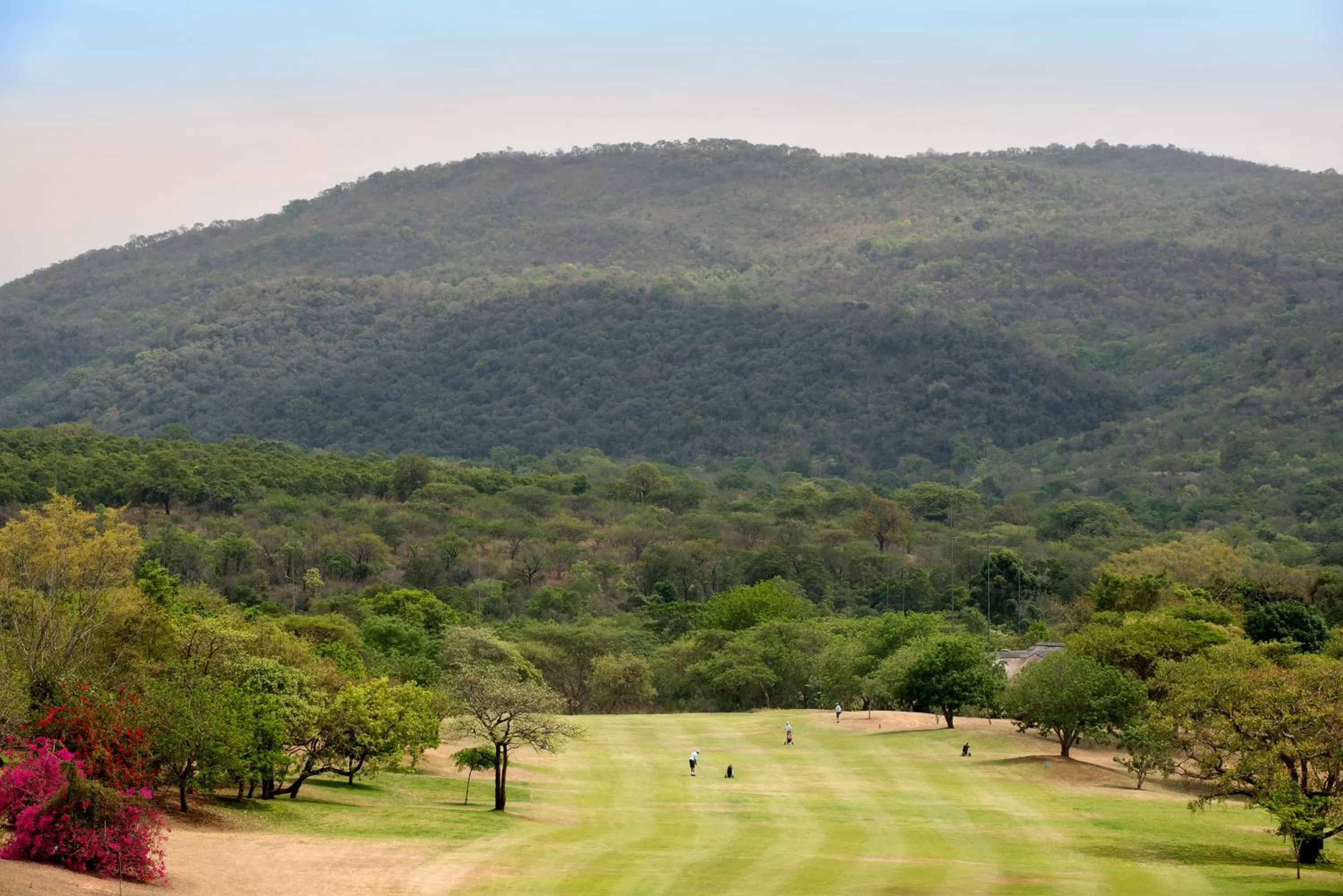 Natural landscape in Kruger Park Lodge