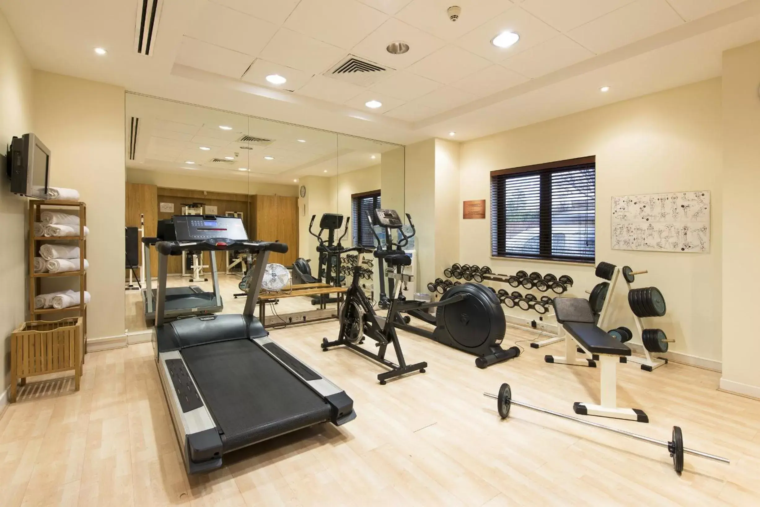 Fitness centre/facilities, Fitness Center/Facilities in Holiday Inn Nice - Port St Laurent, an IHG Hotel