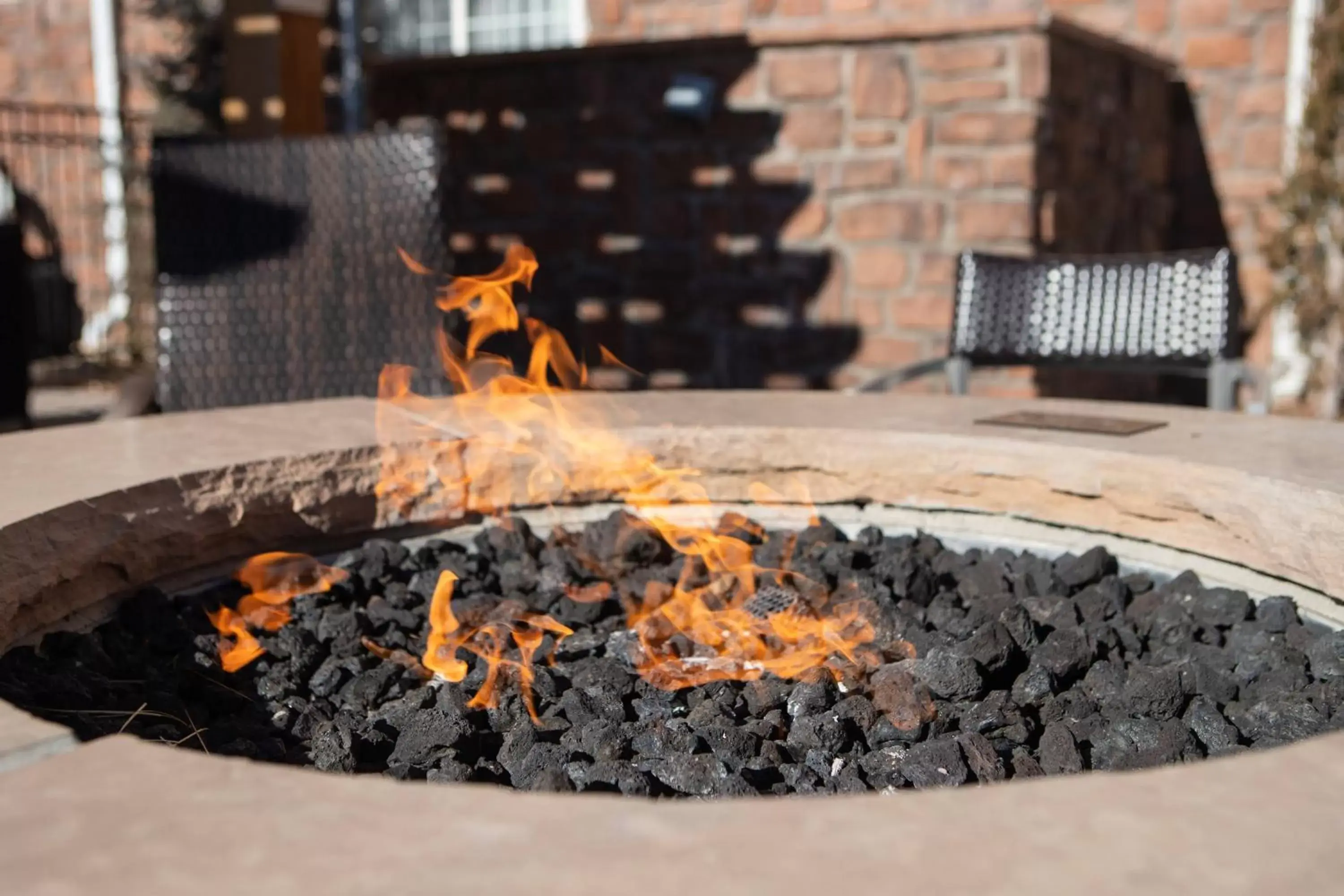 Other, BBQ Facilities in TownePlace Suites Denver Southwest/Littleton