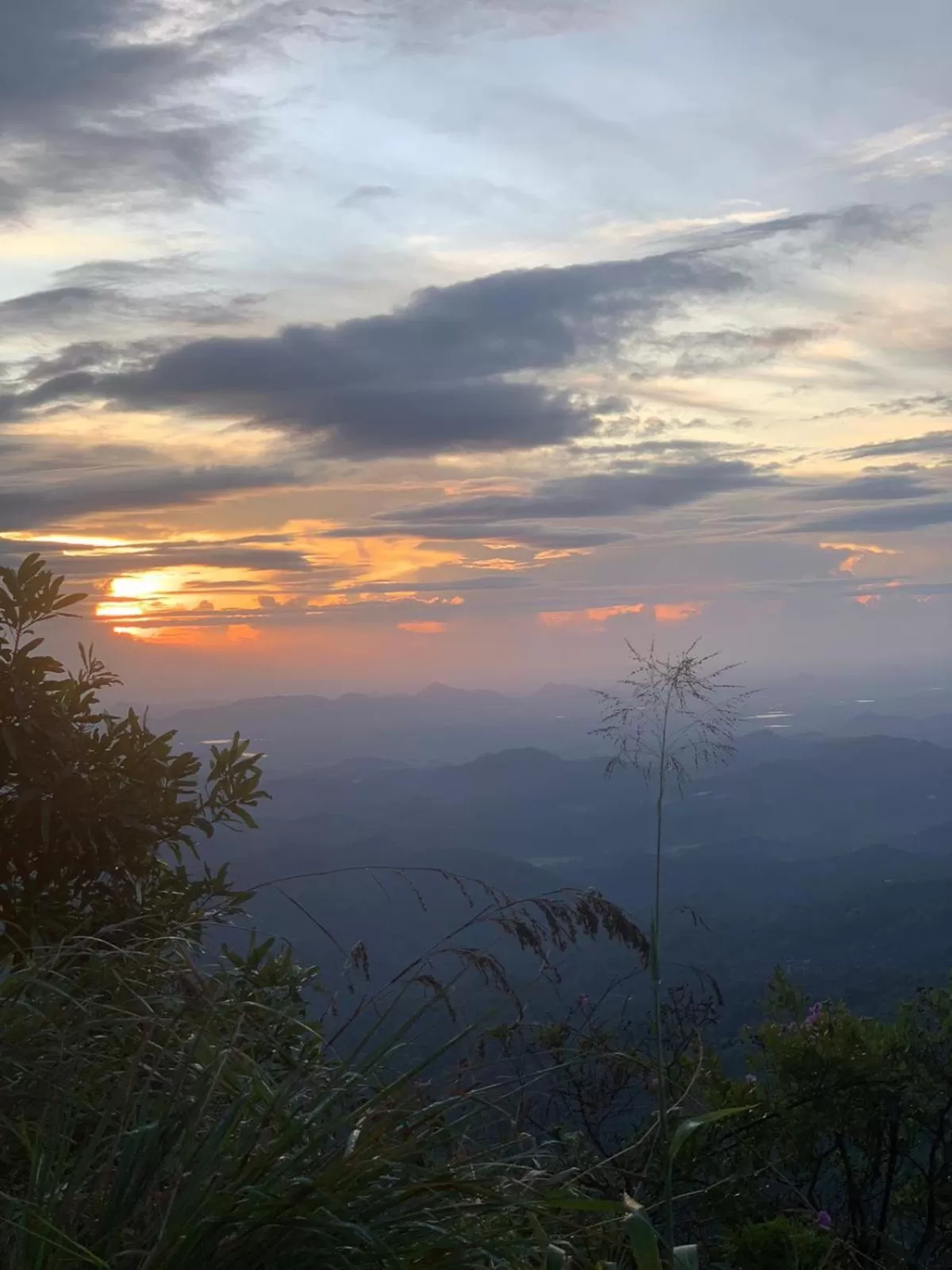 View (from property/room) in Silent Nest