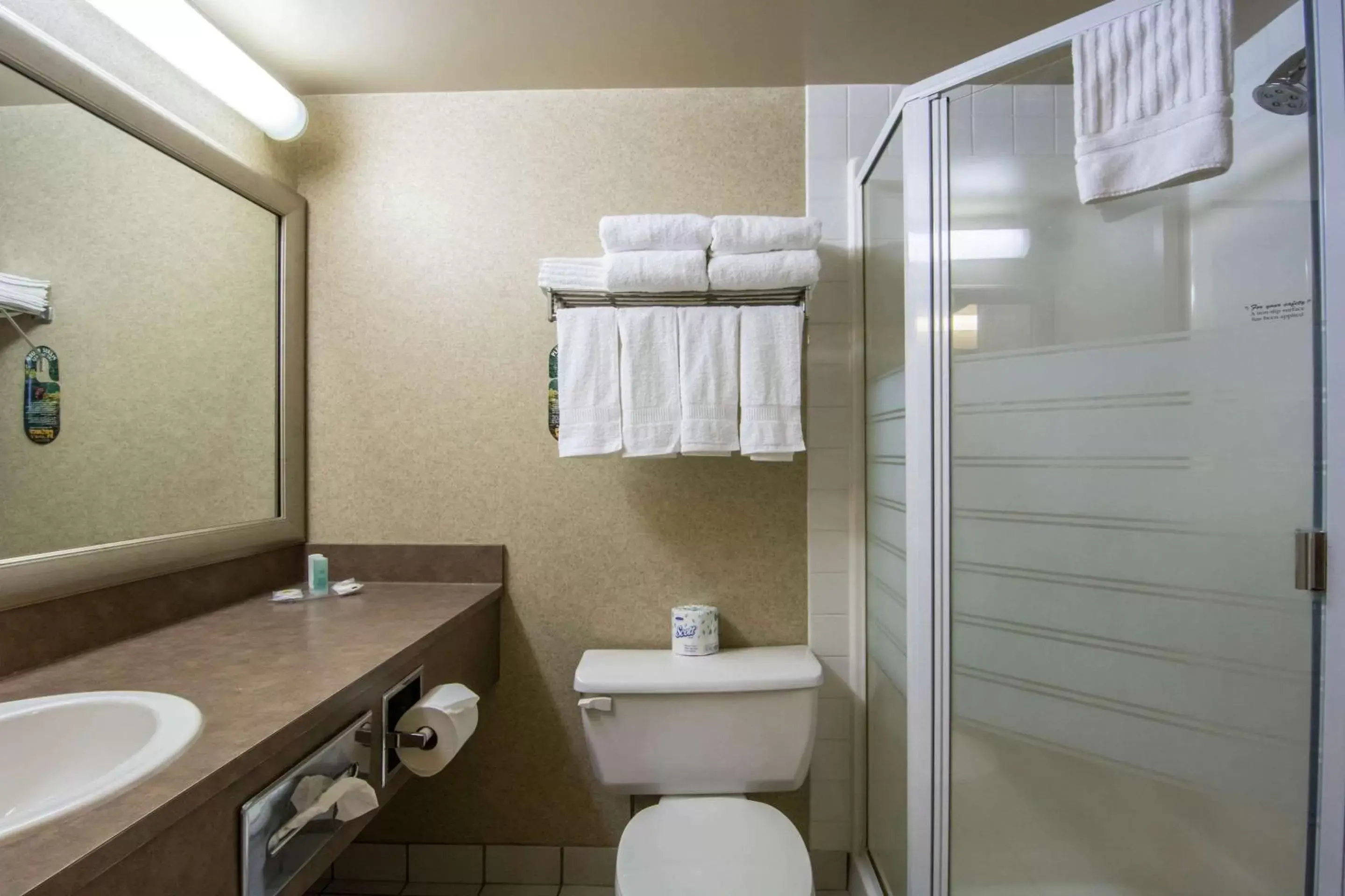 Bathroom in Comfort Inn & Suites Airport South