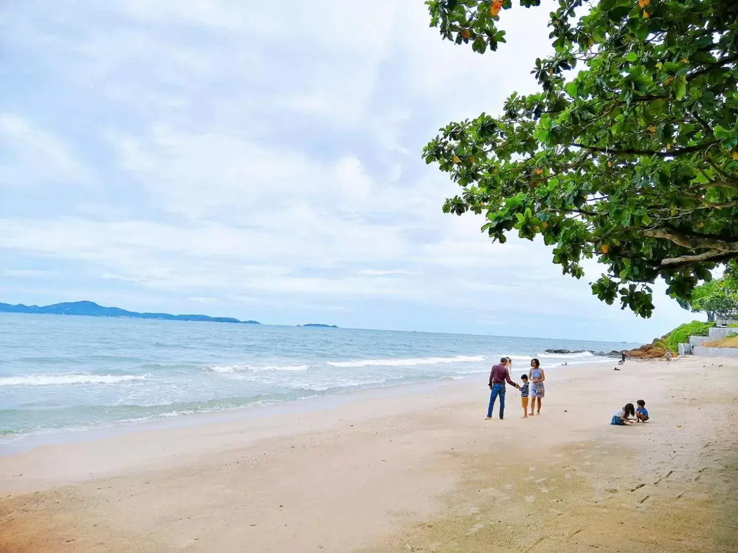 Beach in Birds and Bees Resort