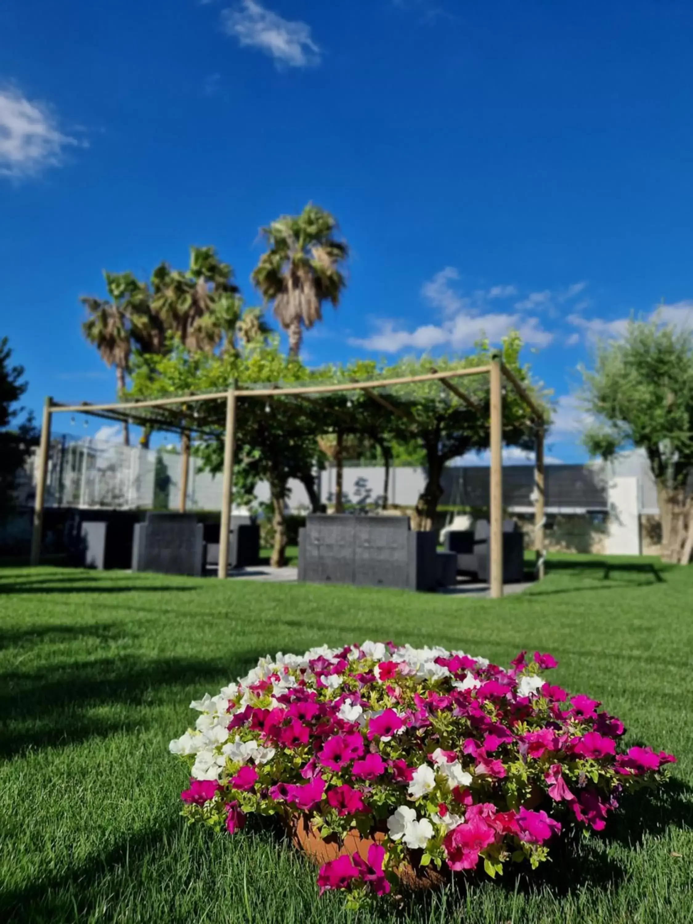 Garden in Corte D'Aniello