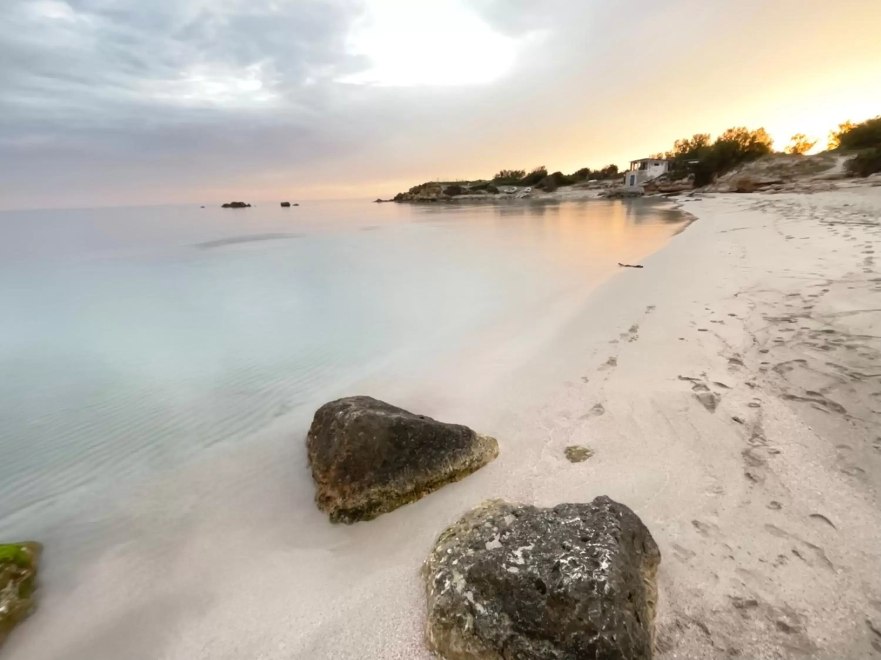 Beach in The Garden