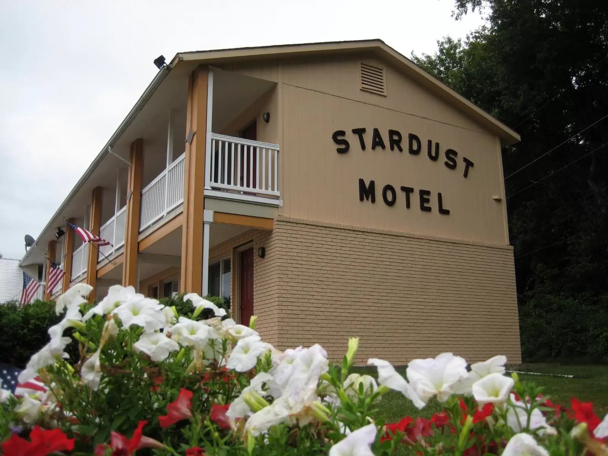 Property Building in Stardust Motel