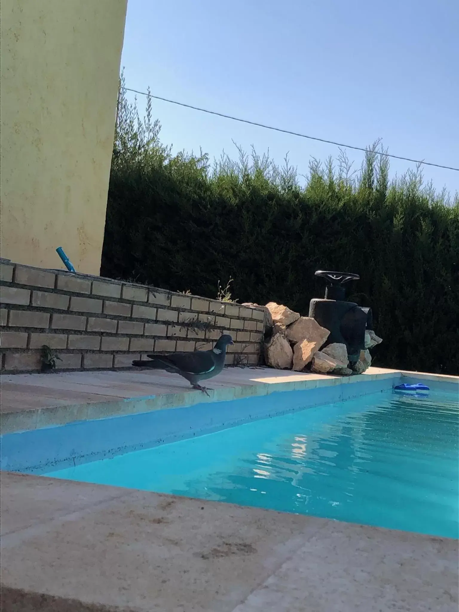 Swimming Pool in Casa Rural Finca Juanamare