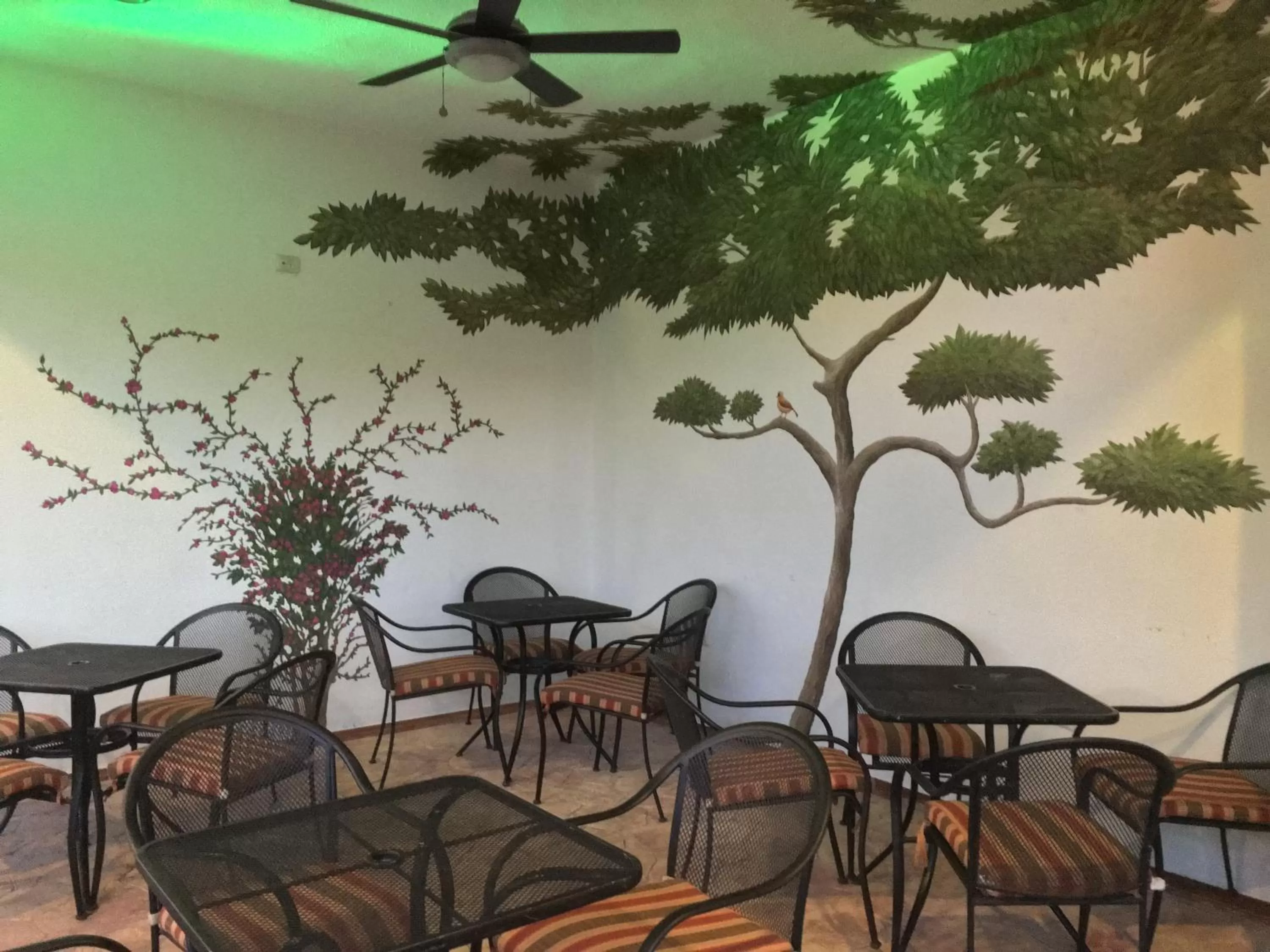 Area and facilities in Hotel Plaza Cozumel