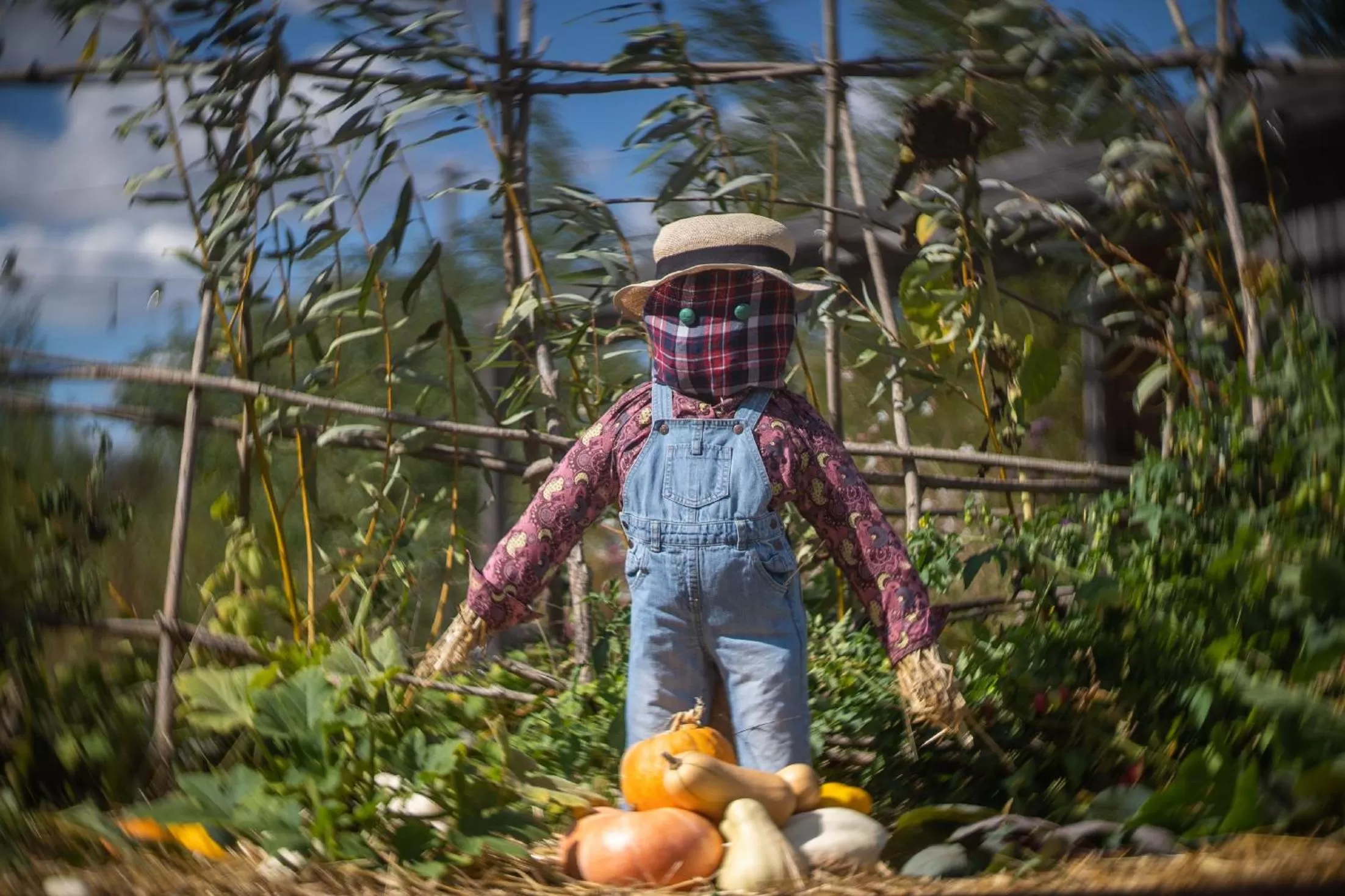Garden in Le jardin des 4 saisons